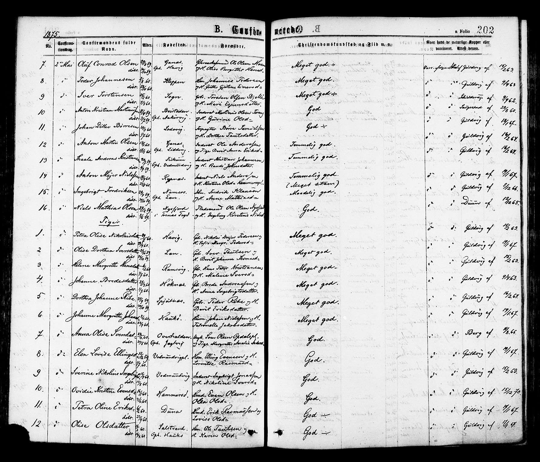 Ministerialprotokoller, klokkerbøker og fødselsregistre - Nord-Trøndelag, AV/SAT-A-1458/768/L0572: Parish register (official) no. 768A07, 1874-1886, p. 202