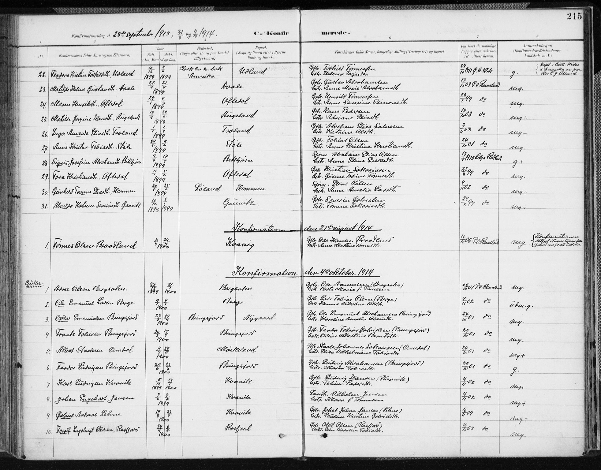 Lyngdal sokneprestkontor, AV/SAK-1111-0029/F/Fa/Fac/L0012: Parish register (official) no. A 12, 1894-1918, p. 215