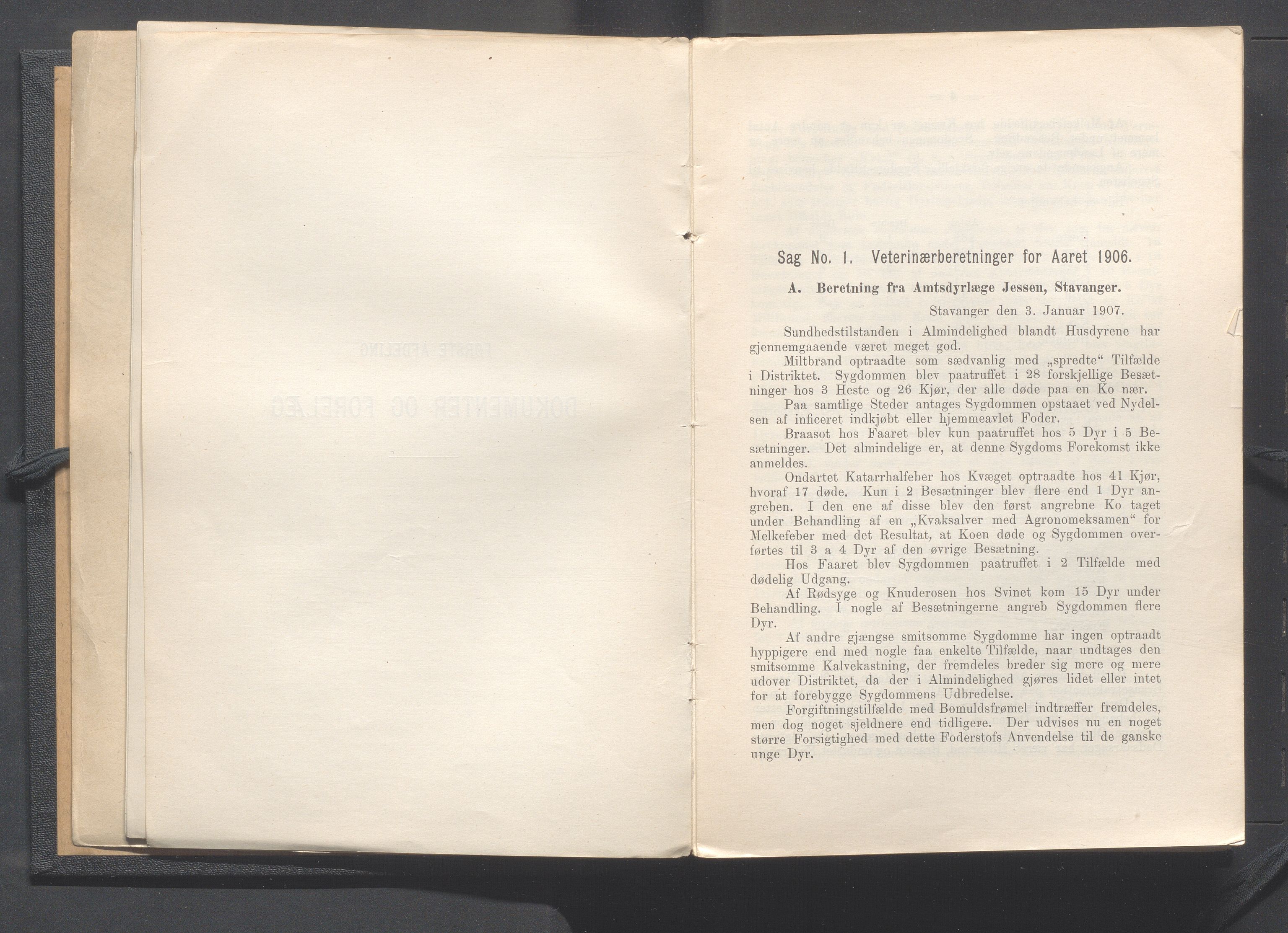 Rogaland fylkeskommune - Fylkesrådmannen , IKAR/A-900/A, 1908, p. 7