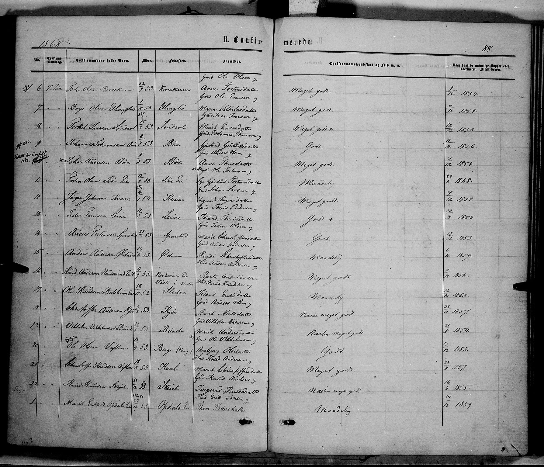 Vang prestekontor, Valdres, SAH/PREST-140/H/Ha/L0007: Parish register (official) no. 7, 1865-1881, p. 88