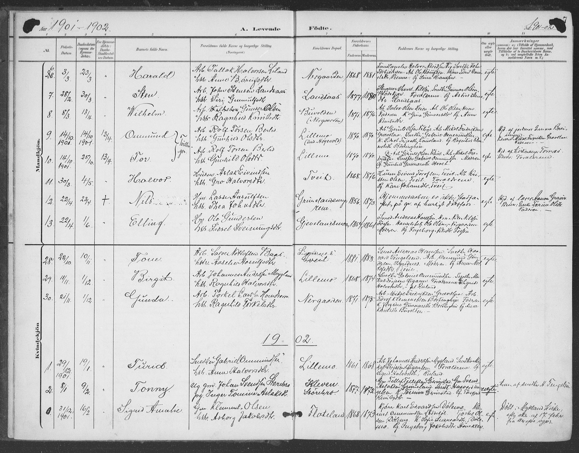 Åmli sokneprestkontor, SAK/1111-0050/F/Fa/Fac/L0012: Parish register (official) no. A 12, 1900-1914, p. 7