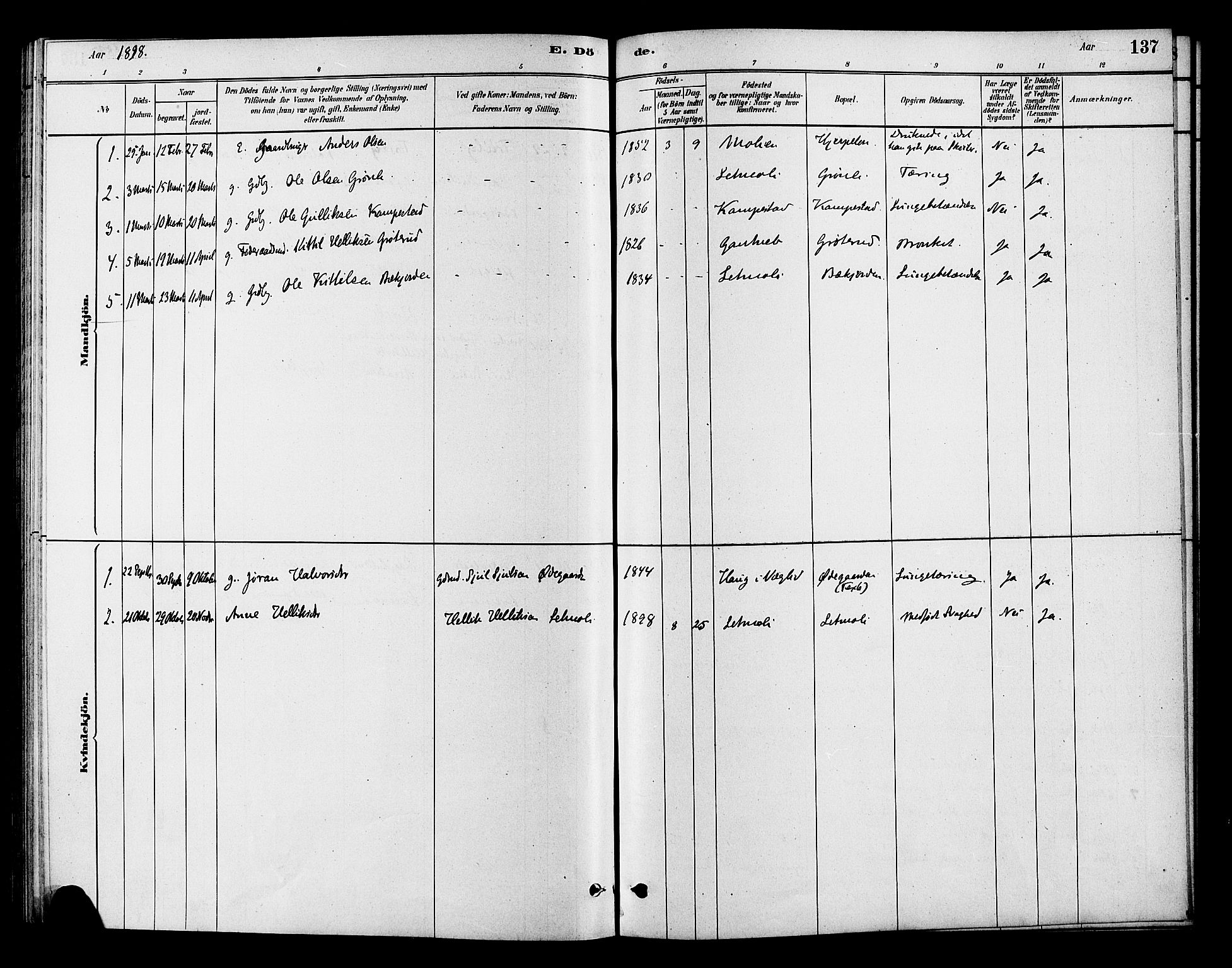 Flesberg kirkebøker, SAKO/A-18/F/Fc/L0001: Parish register (official) no. III 1, 1879-1905, p. 137