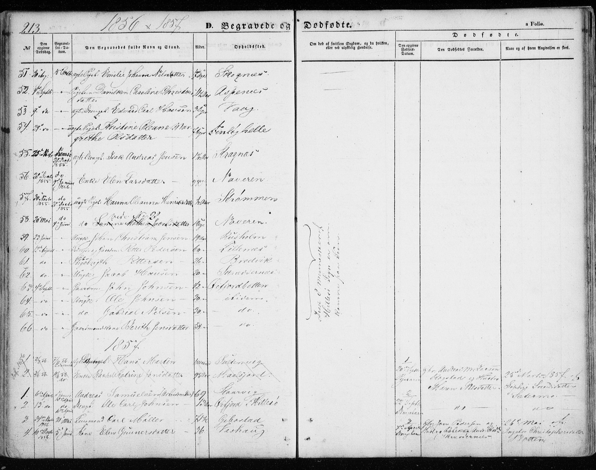 Lenvik sokneprestembete, SATØ/S-1310/H/Ha/Haa/L0007kirke: Parish register (official) no. 7, 1855-1865, p. 213