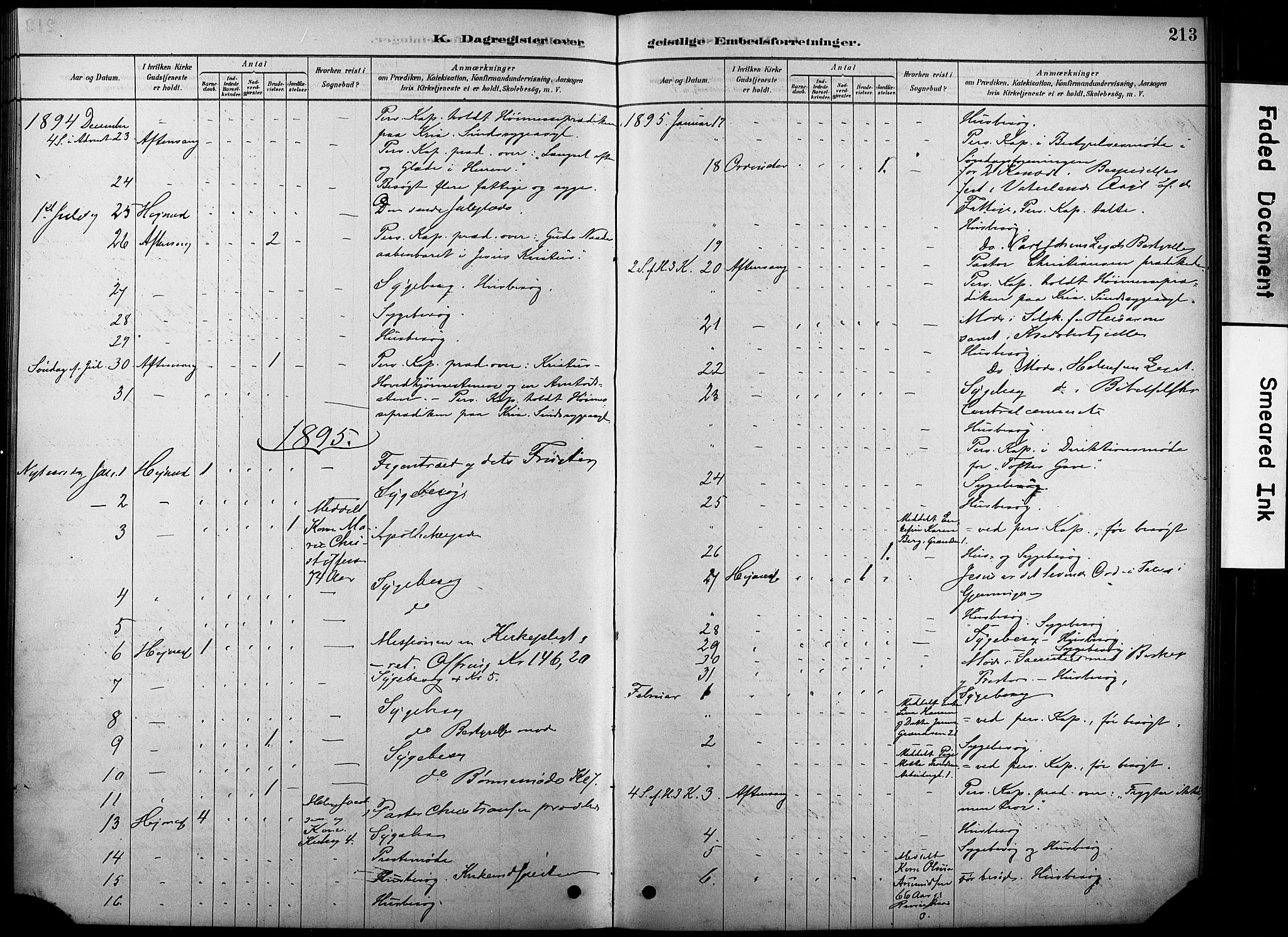 Oslo domkirke Kirkebøker, SAO/A-10752/F/Fa/L0038: Parish register (official) no. 38, 1878-1921, p. 213