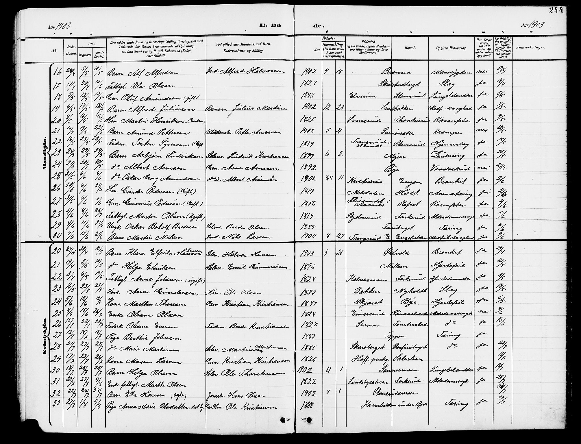 Grue prestekontor, AV/SAH-PREST-036/H/Ha/Hab/L0005: Parish register (copy) no. 5, 1900-1909, p. 244