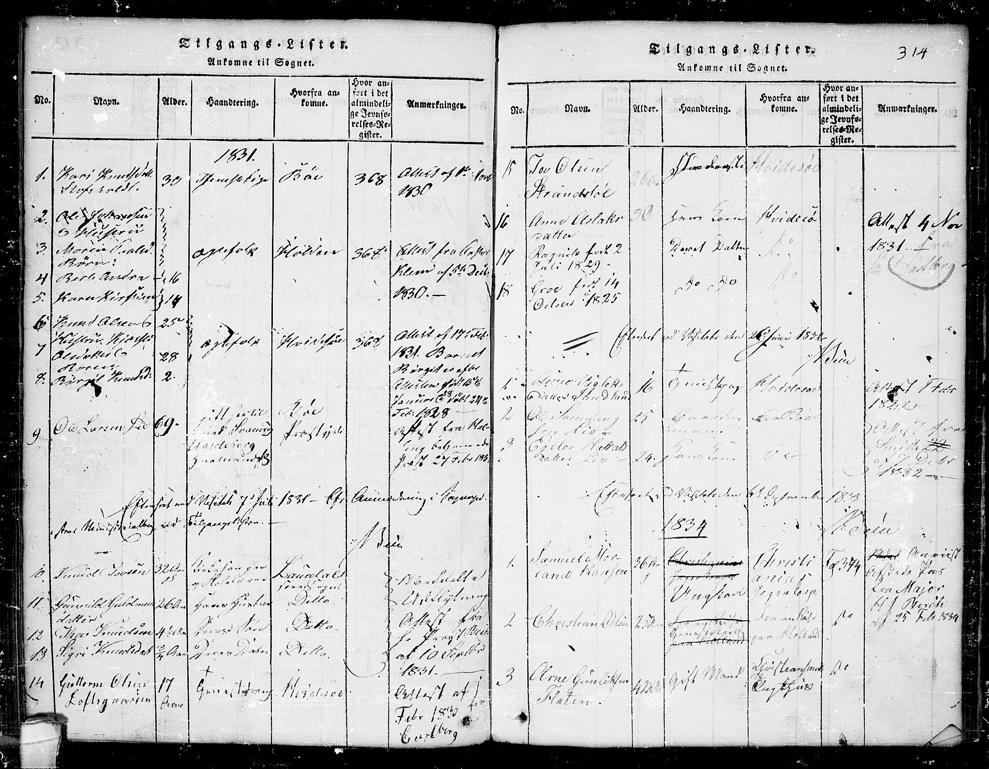 Seljord kirkebøker, SAKO/A-20/G/Ga/L0001: Parish register (copy) no. I 1, 1815-1854, p. 314