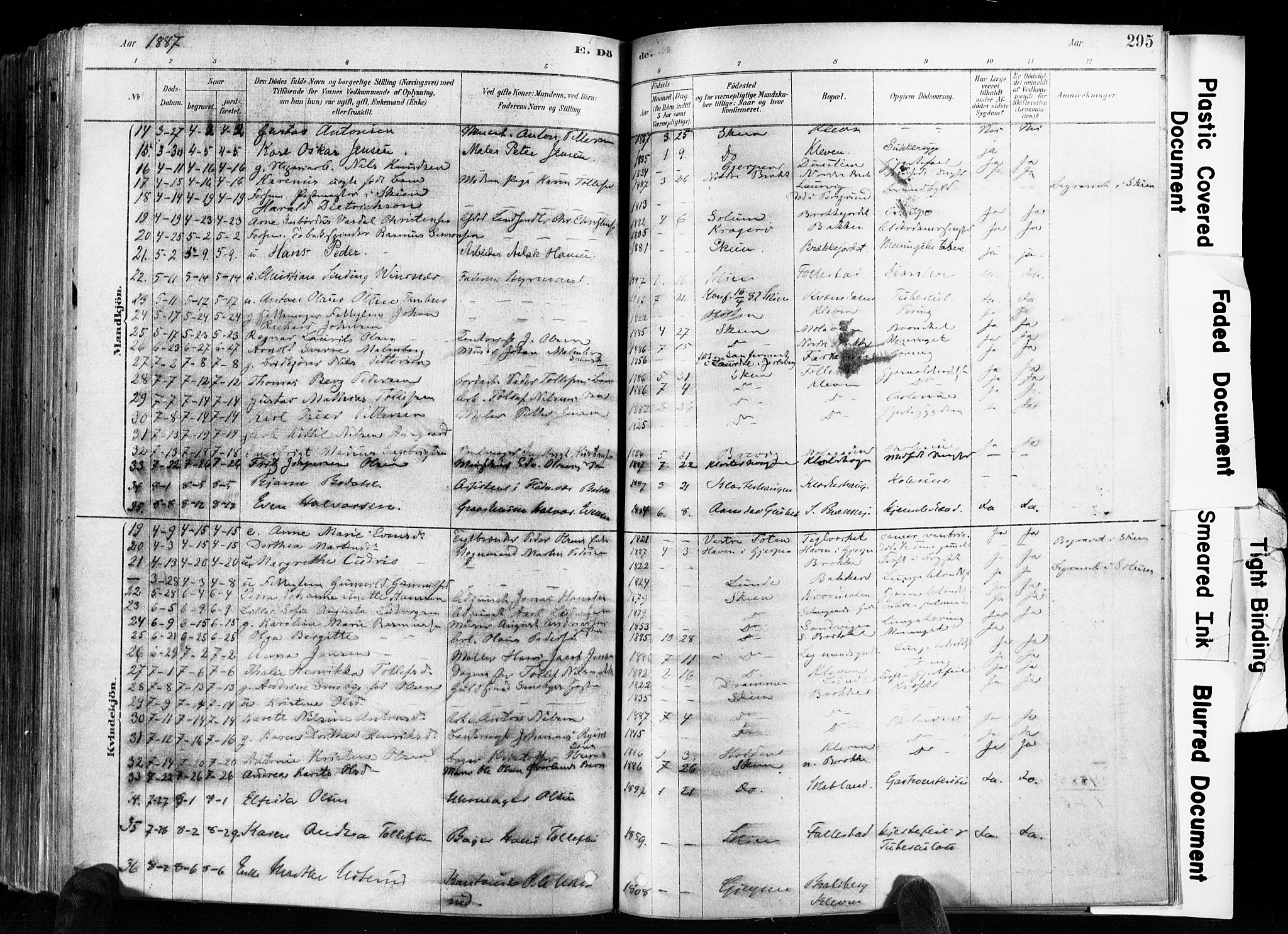Skien kirkebøker, SAKO/A-302/F/Fa/L0009: Parish register (official) no. 9, 1878-1890, p. 295