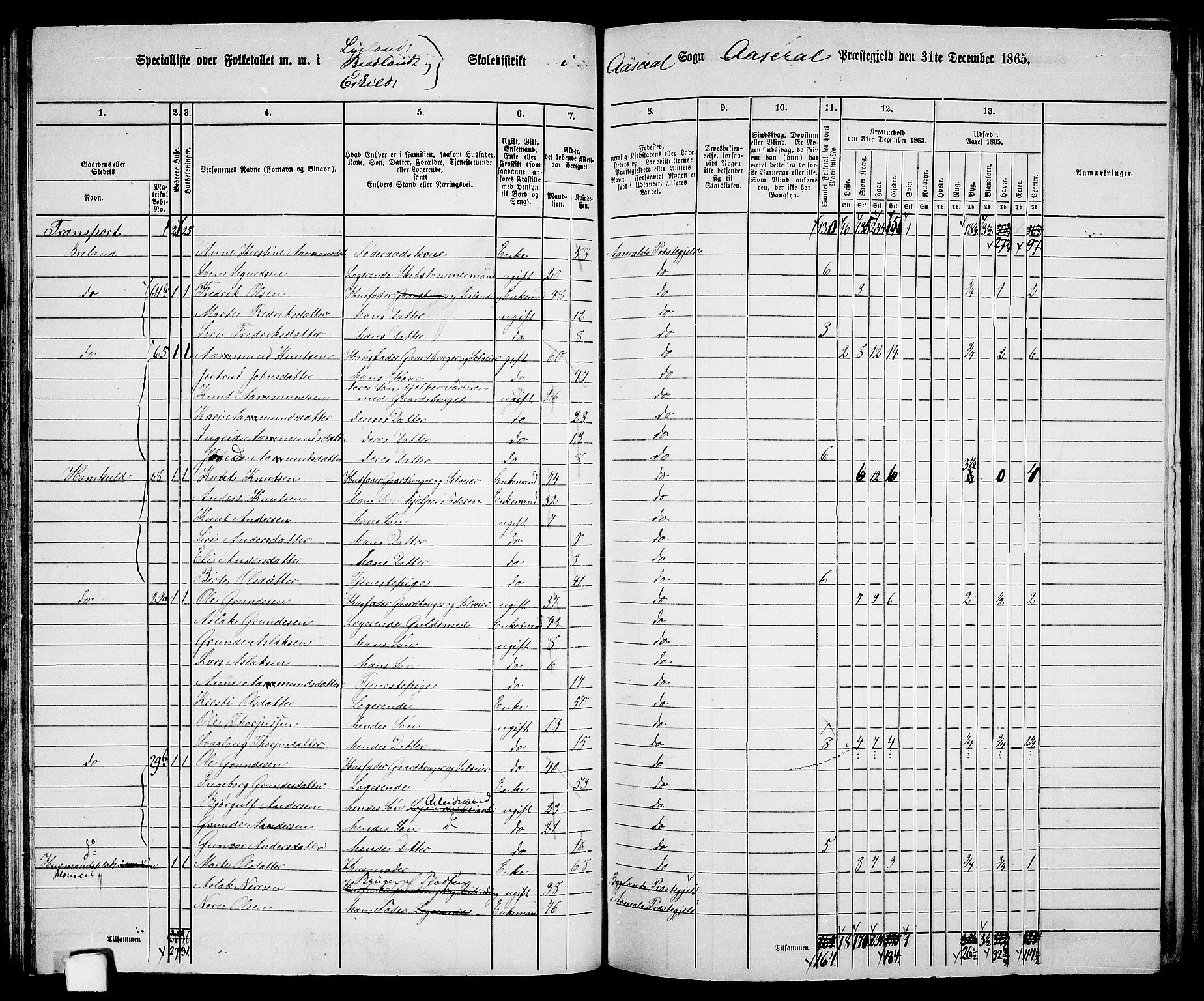 RA, 1865 census for Åseral, 1865, p. 62