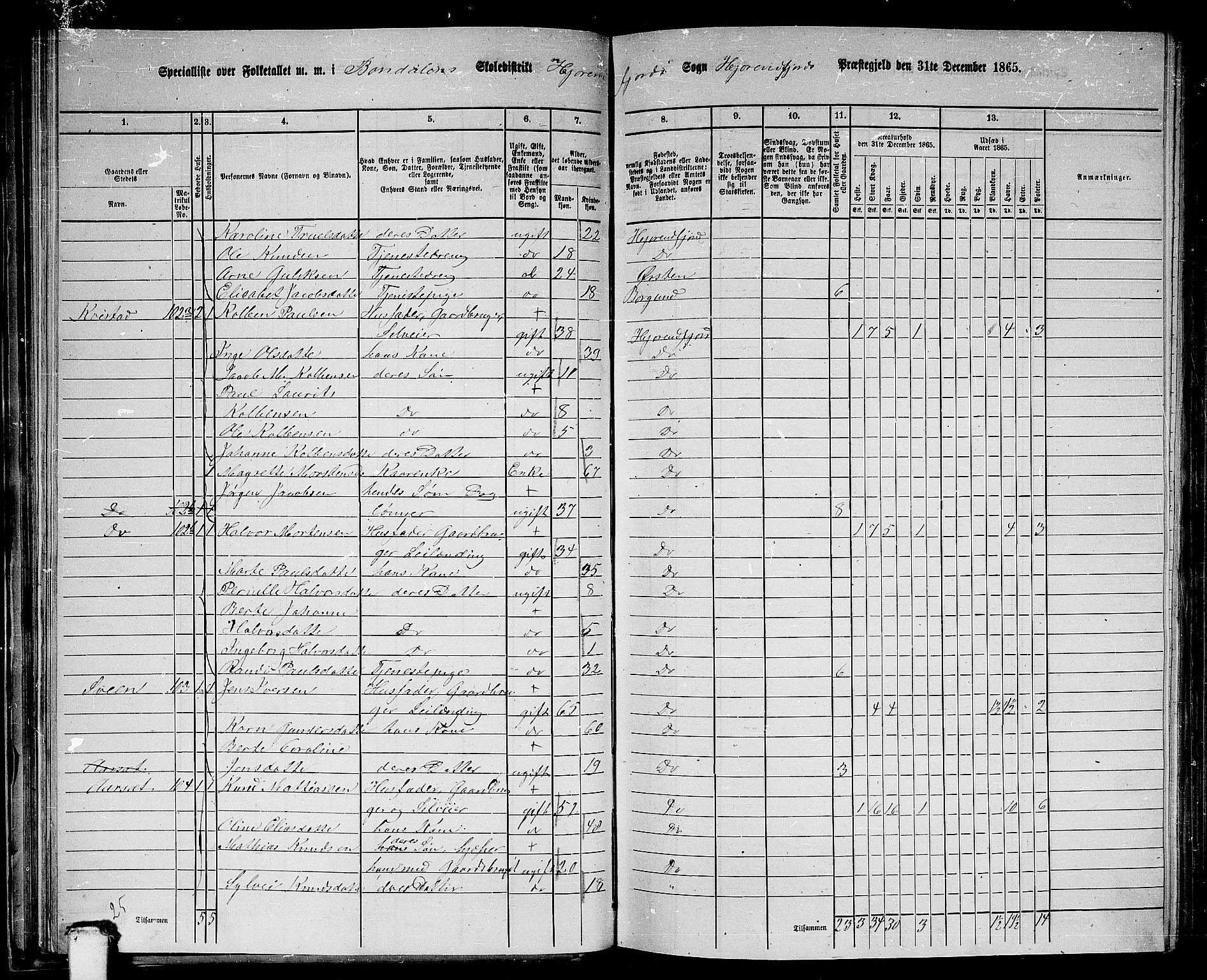 RA, 1865 census for Hjørundfjord, 1865, p. 45