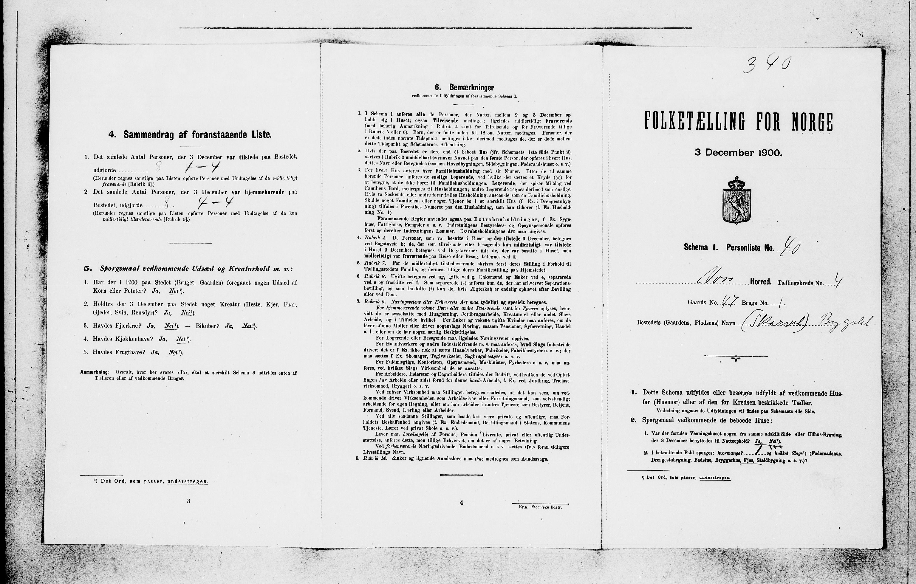 SAB, 1900 census for Voss, 1900, p. 585