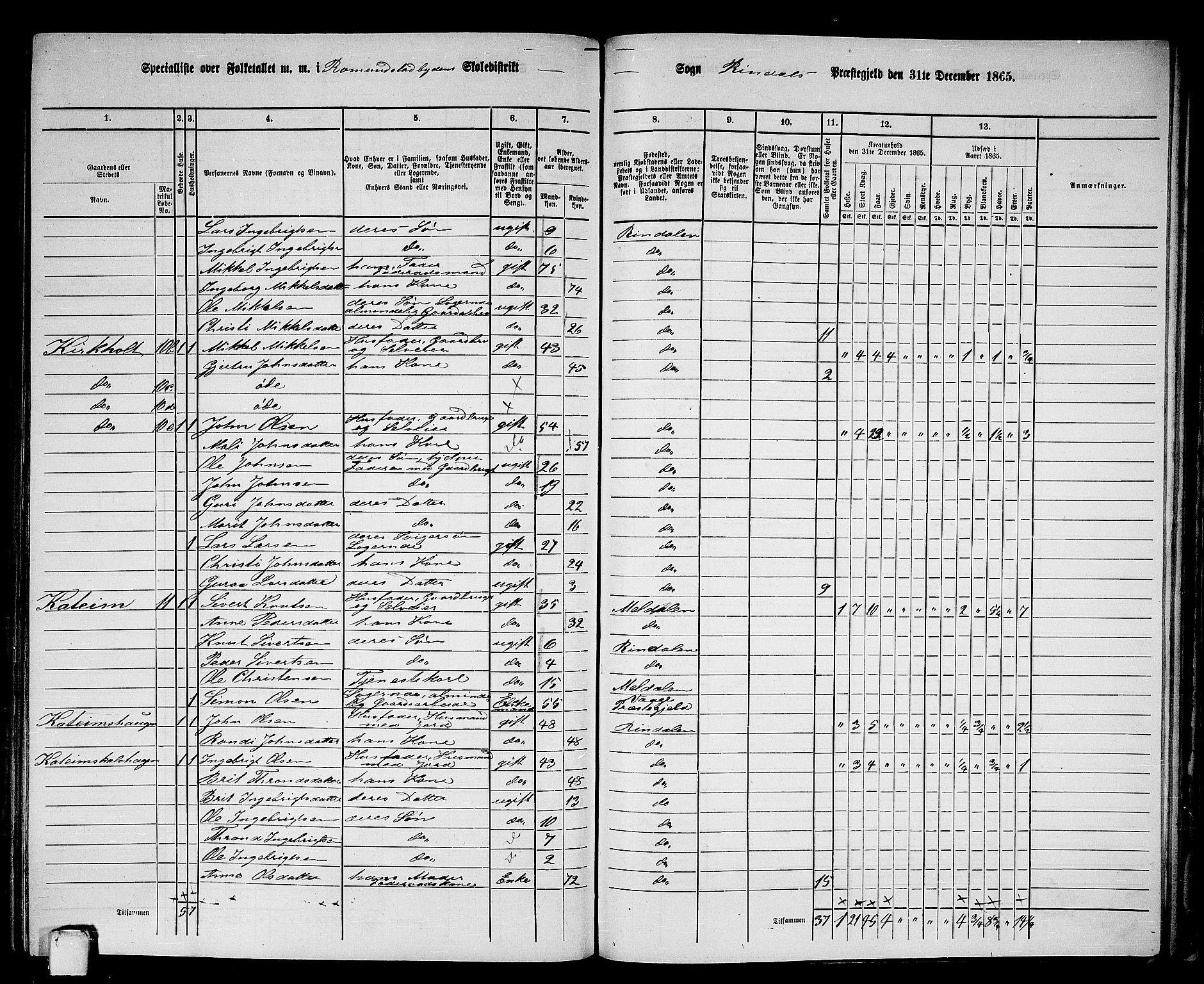 RA, 1865 census for Rindal, 1865, p. 73