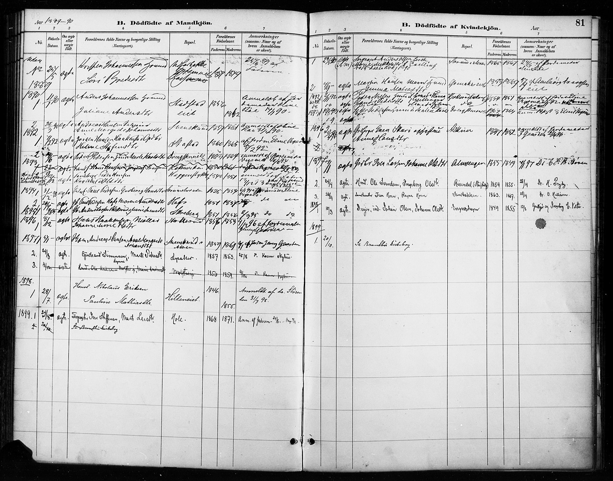 Gran prestekontor, AV/SAH-PREST-112/H/Ha/Haa/L0018: Parish register (official) no. 18, 1889-1899, p. 81