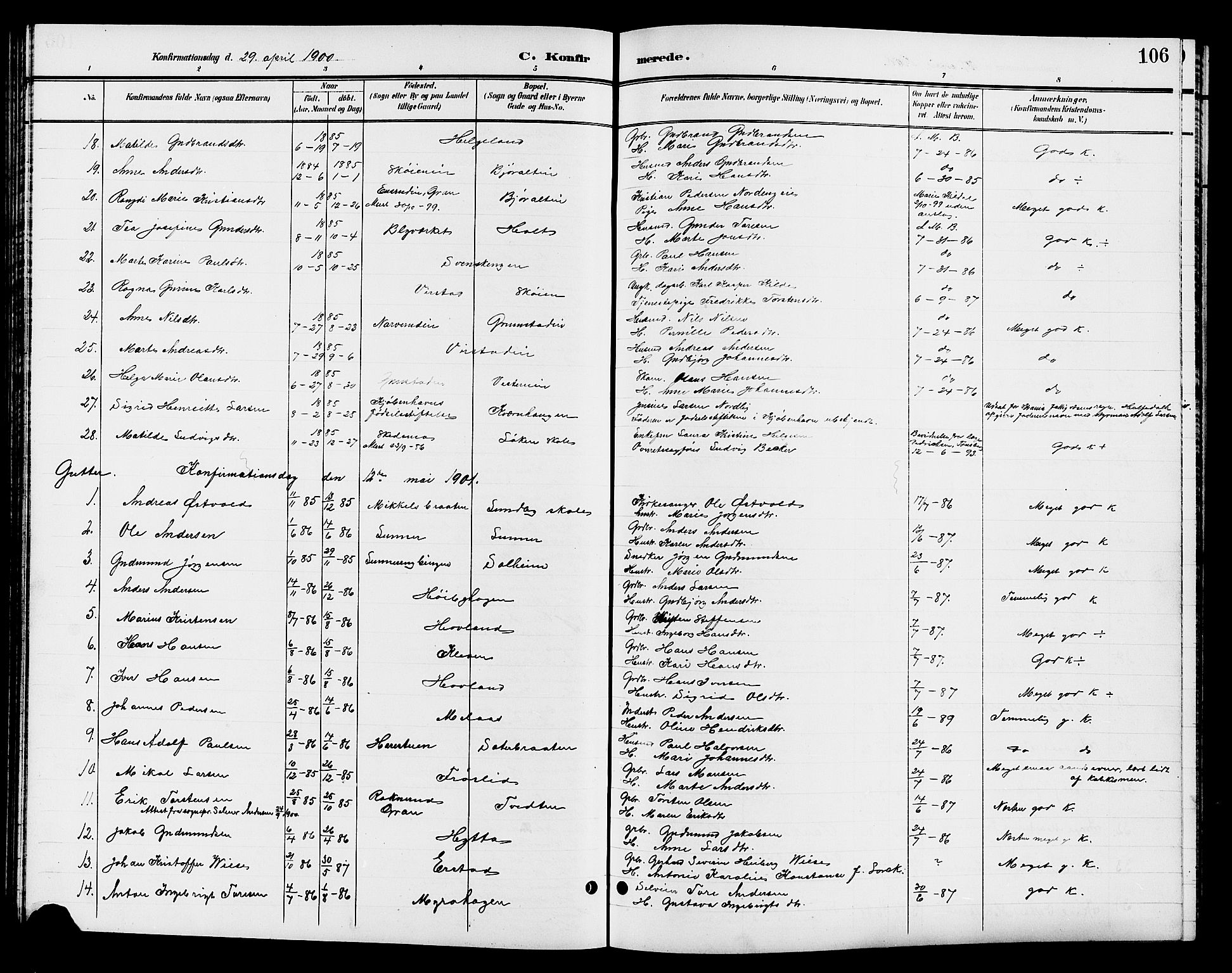 Jevnaker prestekontor, SAH/PREST-116/H/Ha/Hab/L0003: Parish register (copy) no. 3, 1896-1909, p. 106