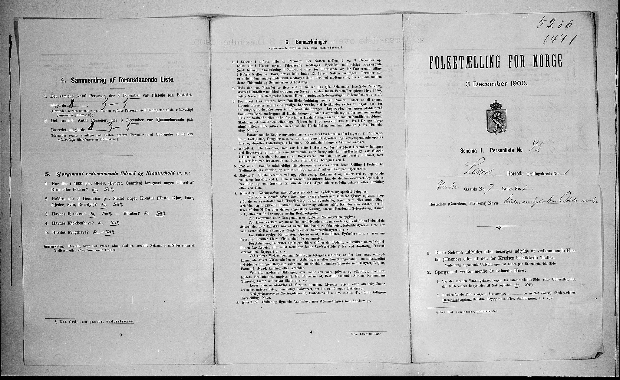 SAH, 1900 census for Lom, 1900, p. 46