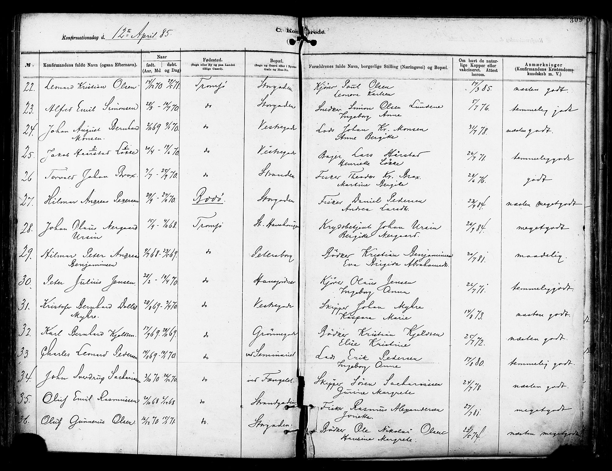 Tromsø sokneprestkontor/stiftsprosti/domprosti, SATØ/S-1343/G/Ga/L0014kirke: Parish register (official) no. 14, 1878-1888, p. 309