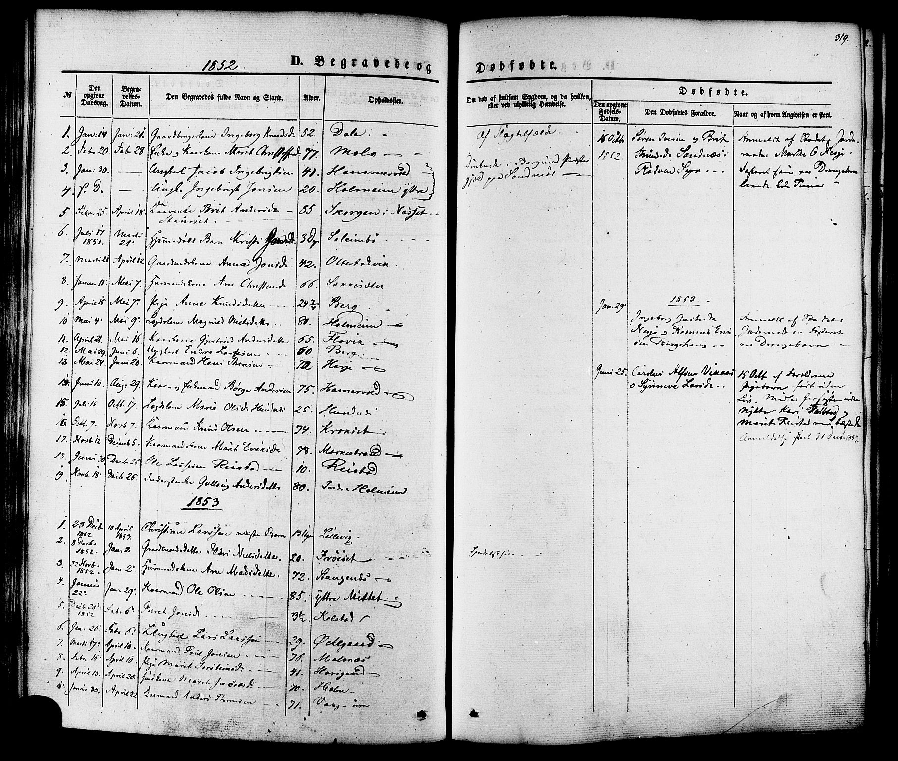Ministerialprotokoller, klokkerbøker og fødselsregistre - Møre og Romsdal, SAT/A-1454/547/L0603: Parish register (official) no. 547A05, 1846-1877, p. 319