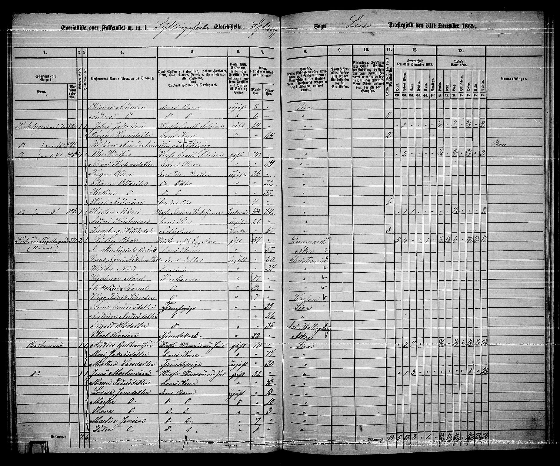 RA, 1865 census for Lier, 1865, p. 221