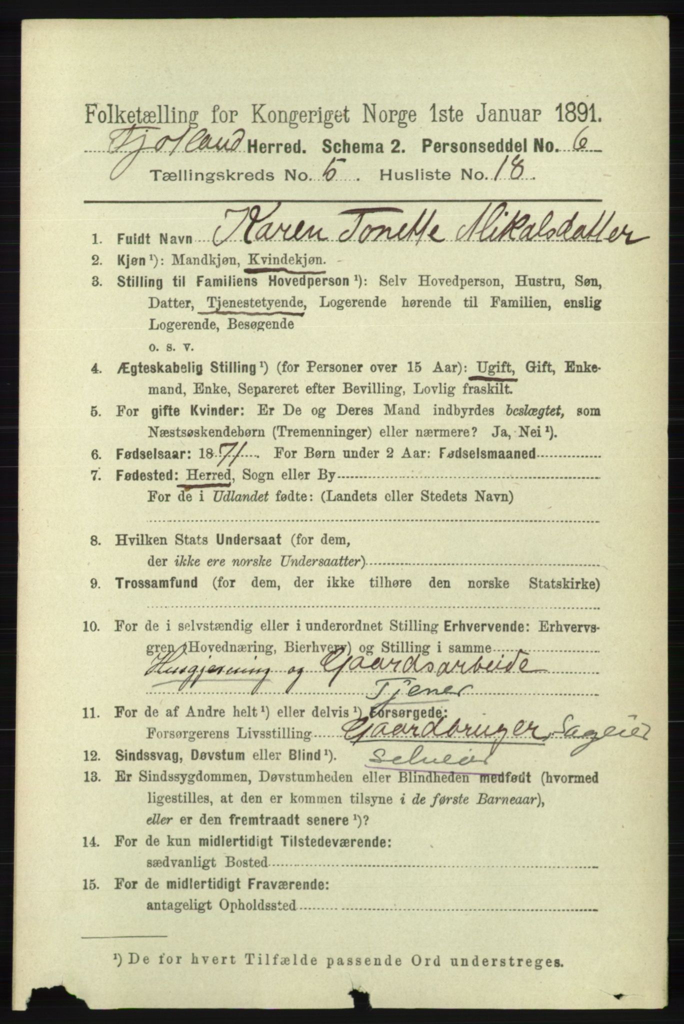 RA, 1891 census for 1036 Fjotland, 1891, p. 831