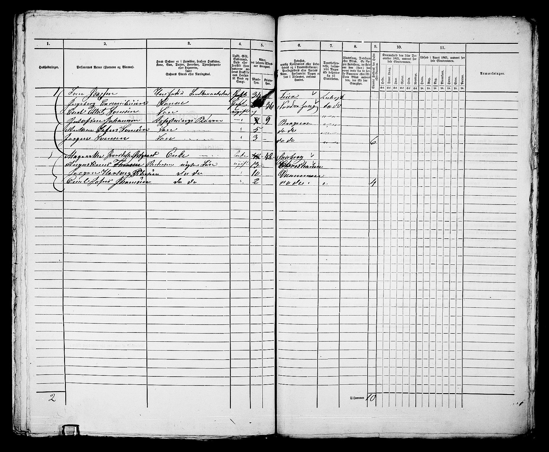 RA, 1865 census for Bragernes in Drammen, 1865, p. 1196