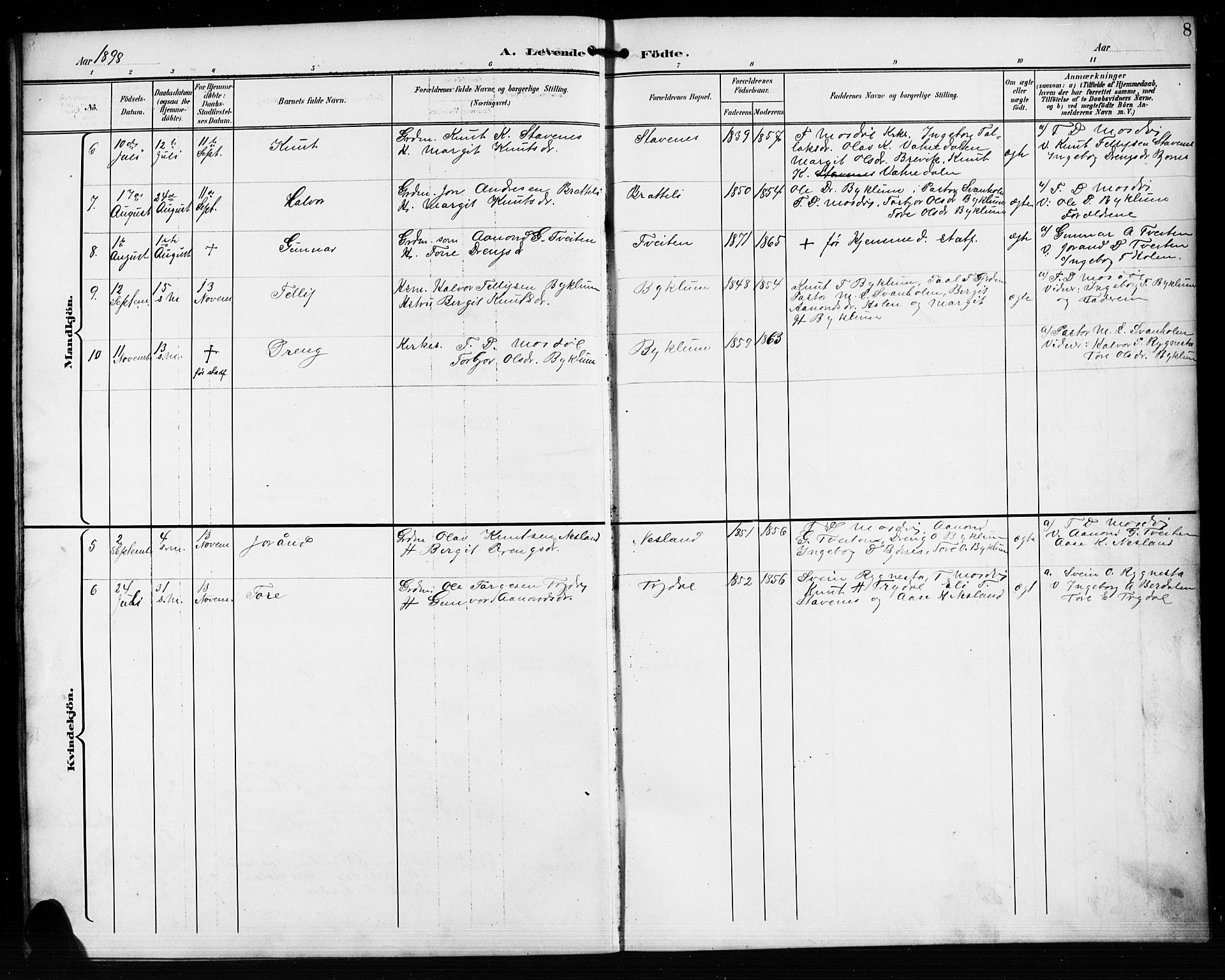 Valle sokneprestkontor, AV/SAK-1111-0044/F/Fb/Fba/L0003: Parish register (copy) no. B 3, 1895-1916, p. 8