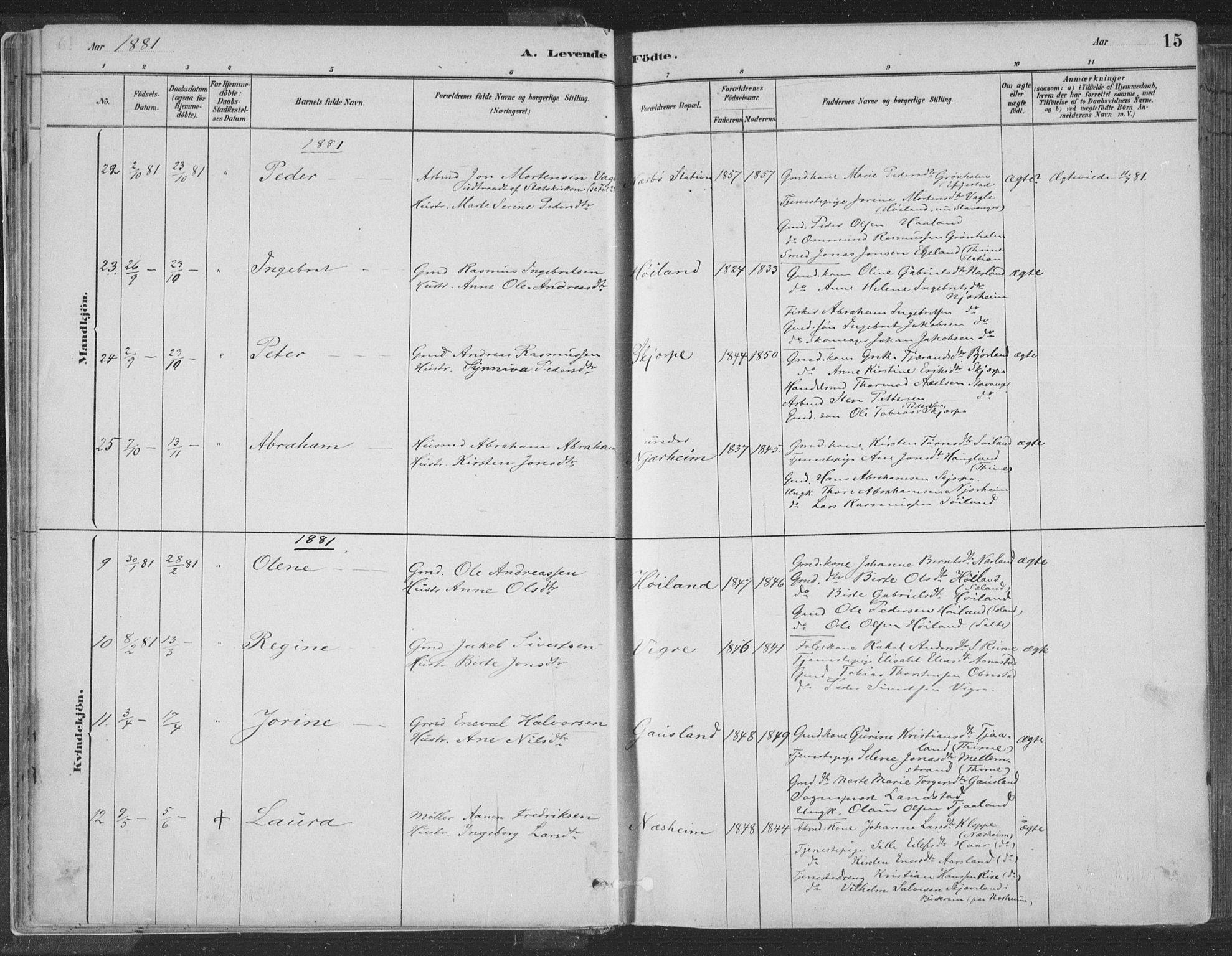 Hå sokneprestkontor, SAST/A-101801/001/30BA/L0010: Parish register (official) no. A 9, 1879-1896, p. 15