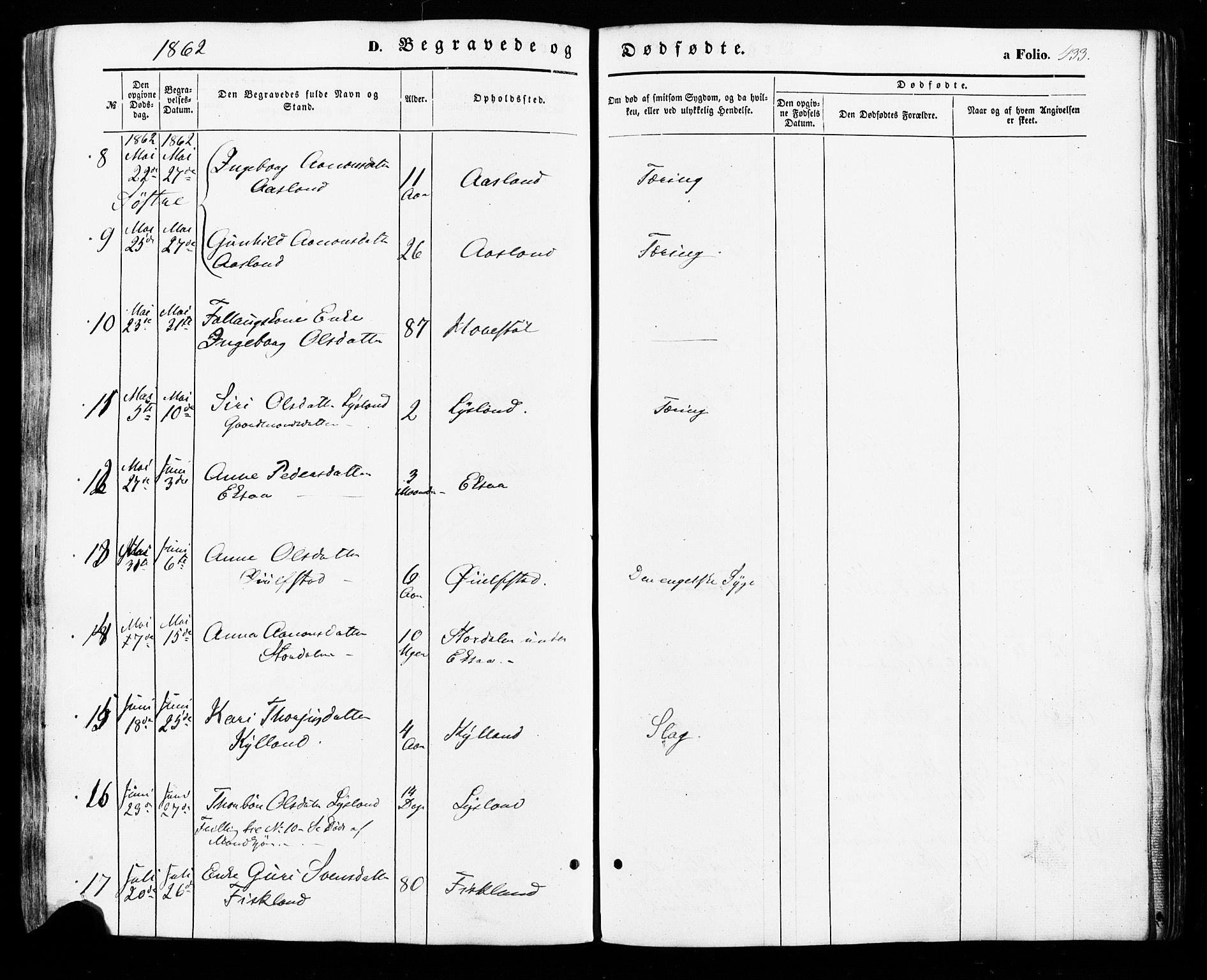 Åseral sokneprestkontor, AV/SAK-1111-0051/F/Fa/L0002: Parish register (official) no. A 2, 1854-1884, p. 433