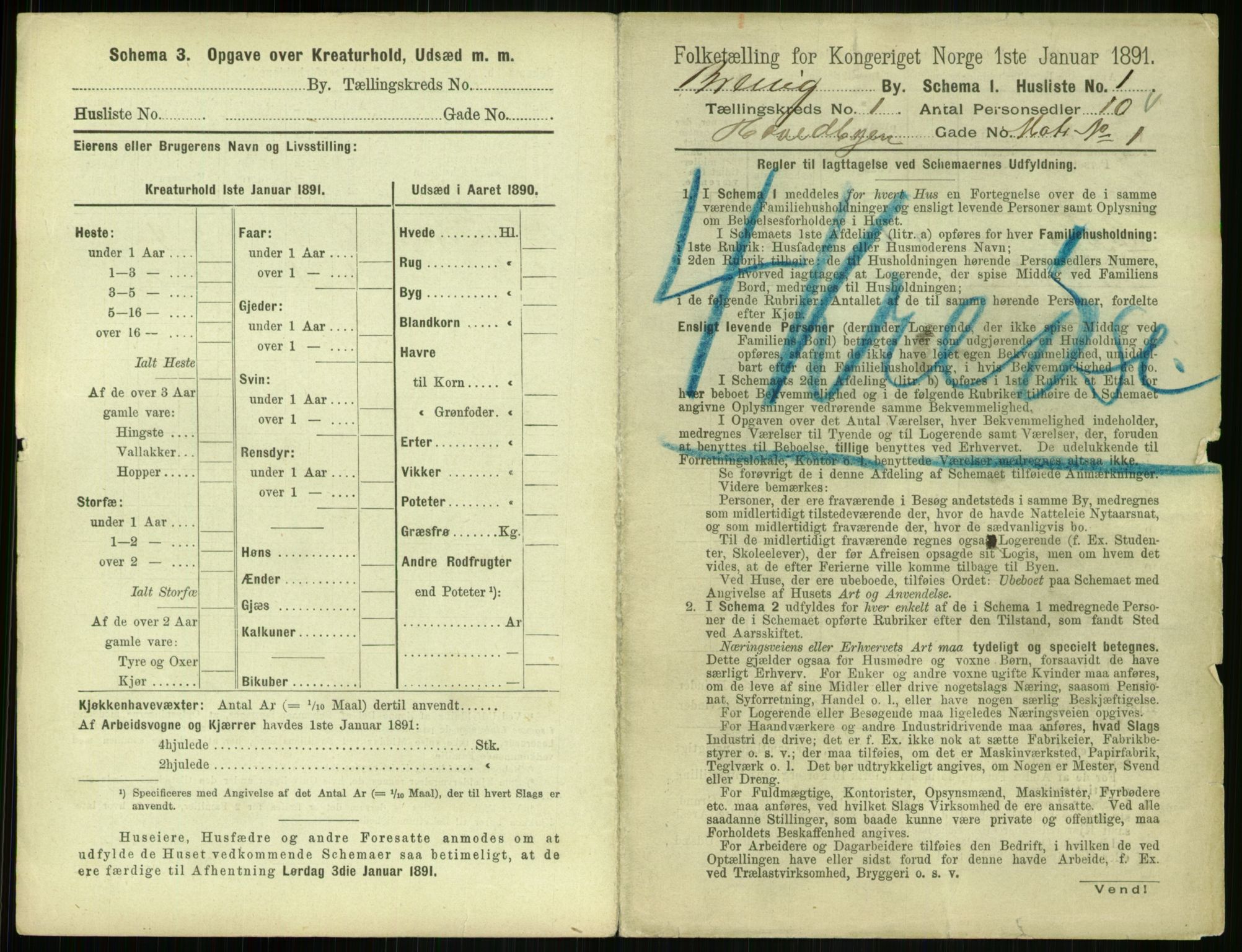 RA, 1891 census for 0804 Brevik, 1891, p. 19