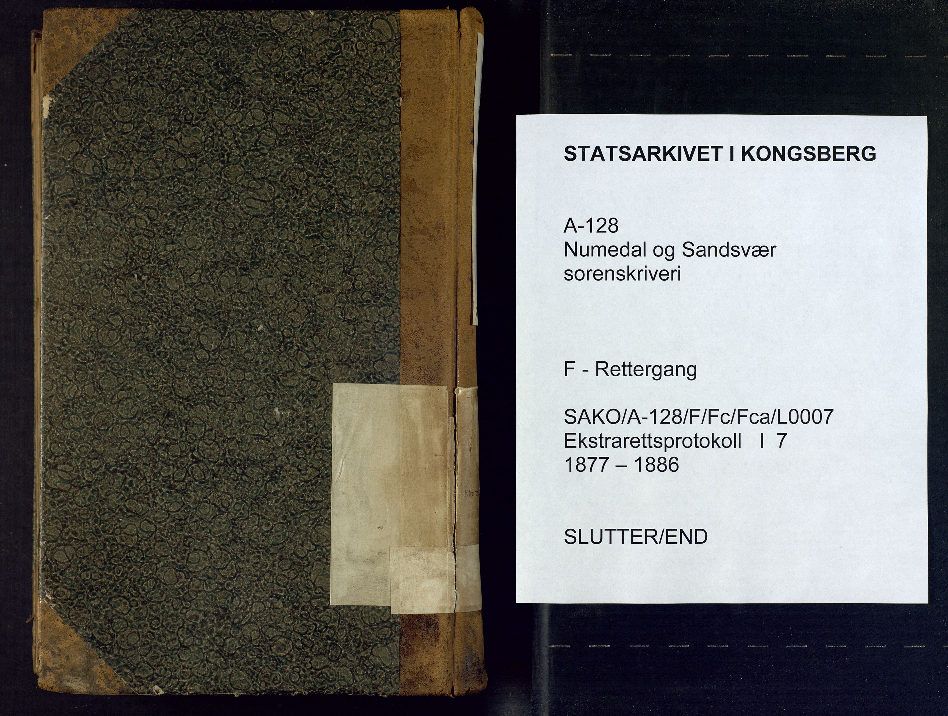 Numedal og Sandsvær sorenskriveri, SAKO/A-128/F/Fc/Fca/L0007: Ekstrarettsprotokoll, 1877-1886
