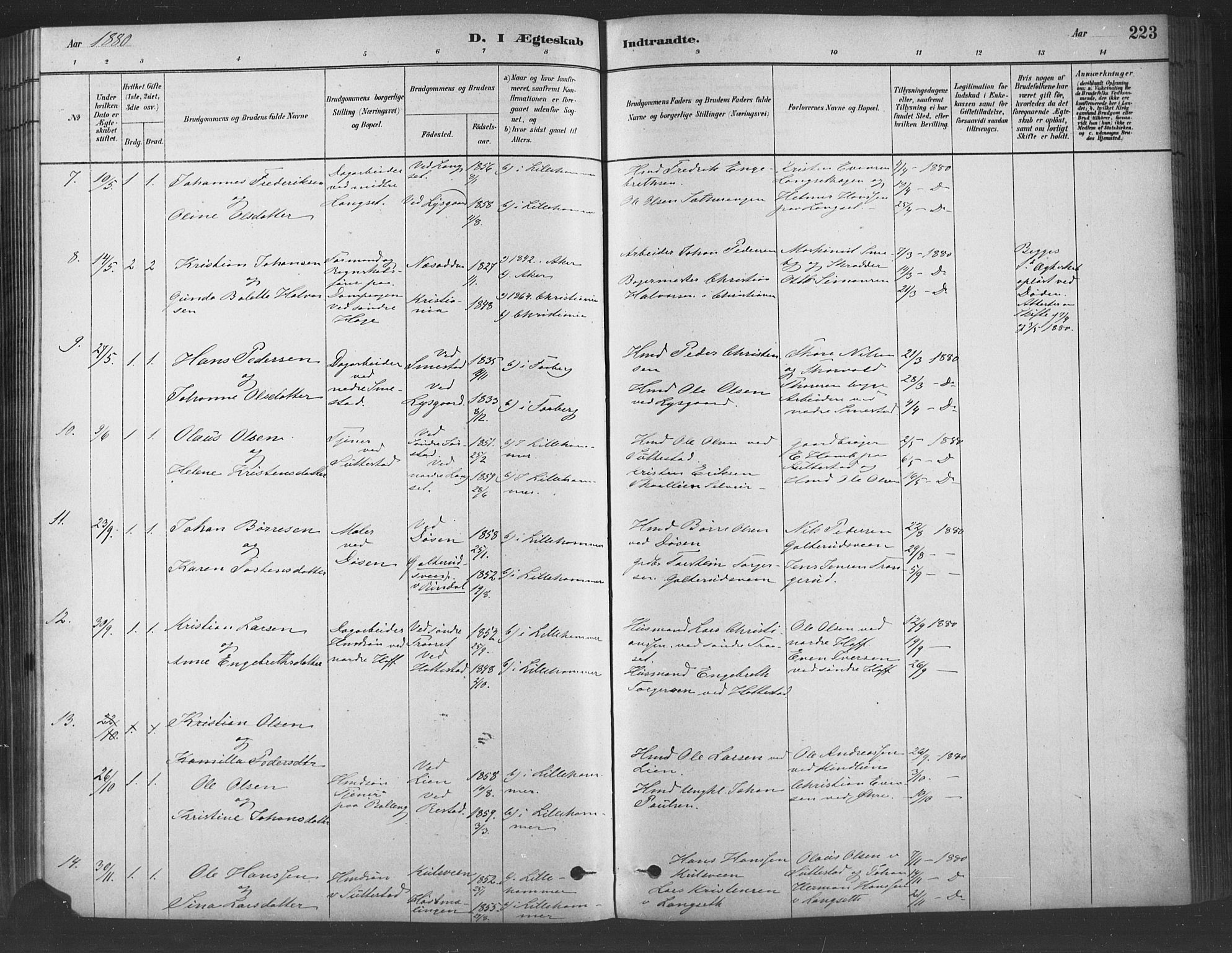 Fåberg prestekontor, SAH/PREST-086/H/Ha/Haa/L0009: Parish register (official) no. 9, 1879-1898, p. 223