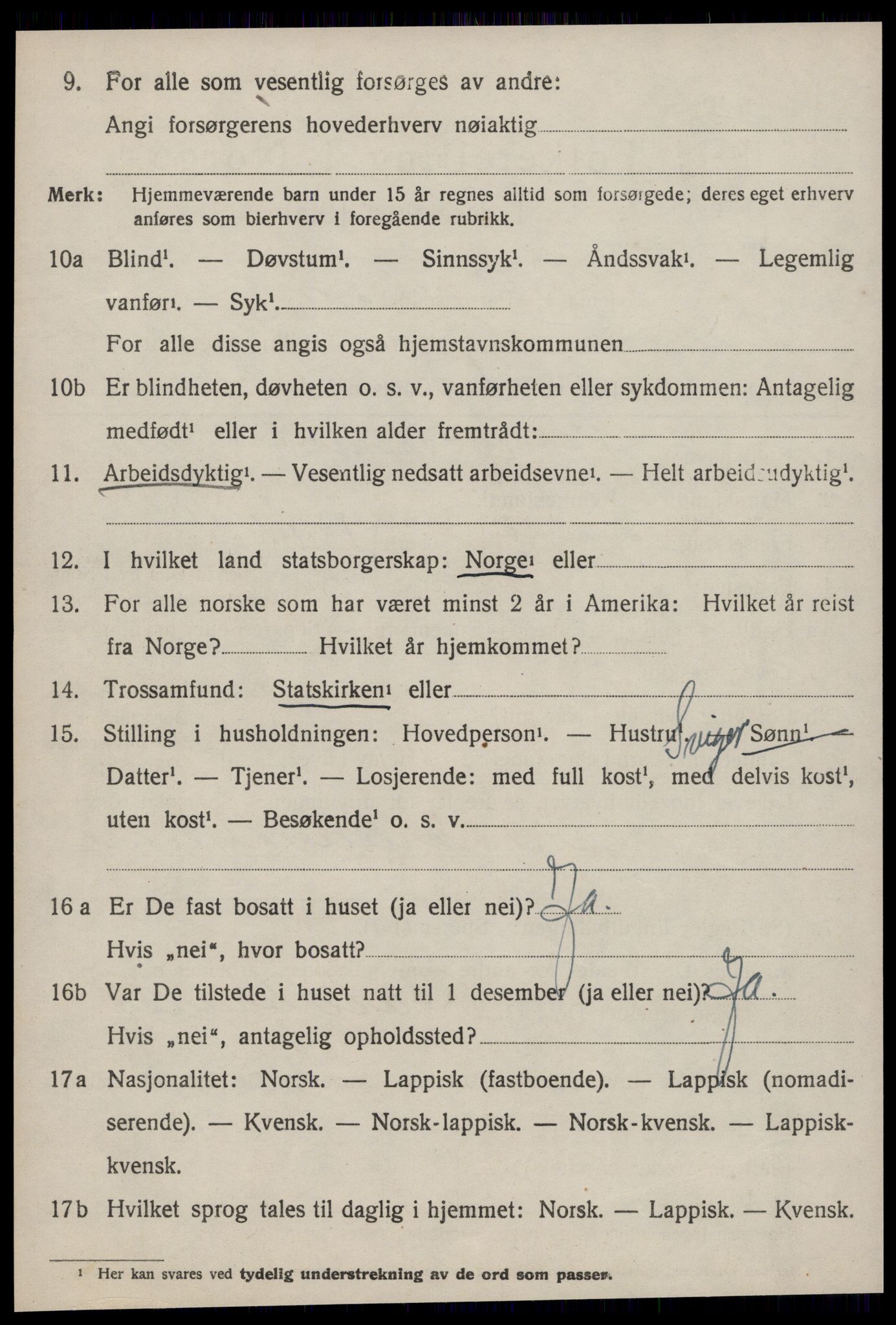 SAT, 1920 census for Selbu, 1920, p. 7455