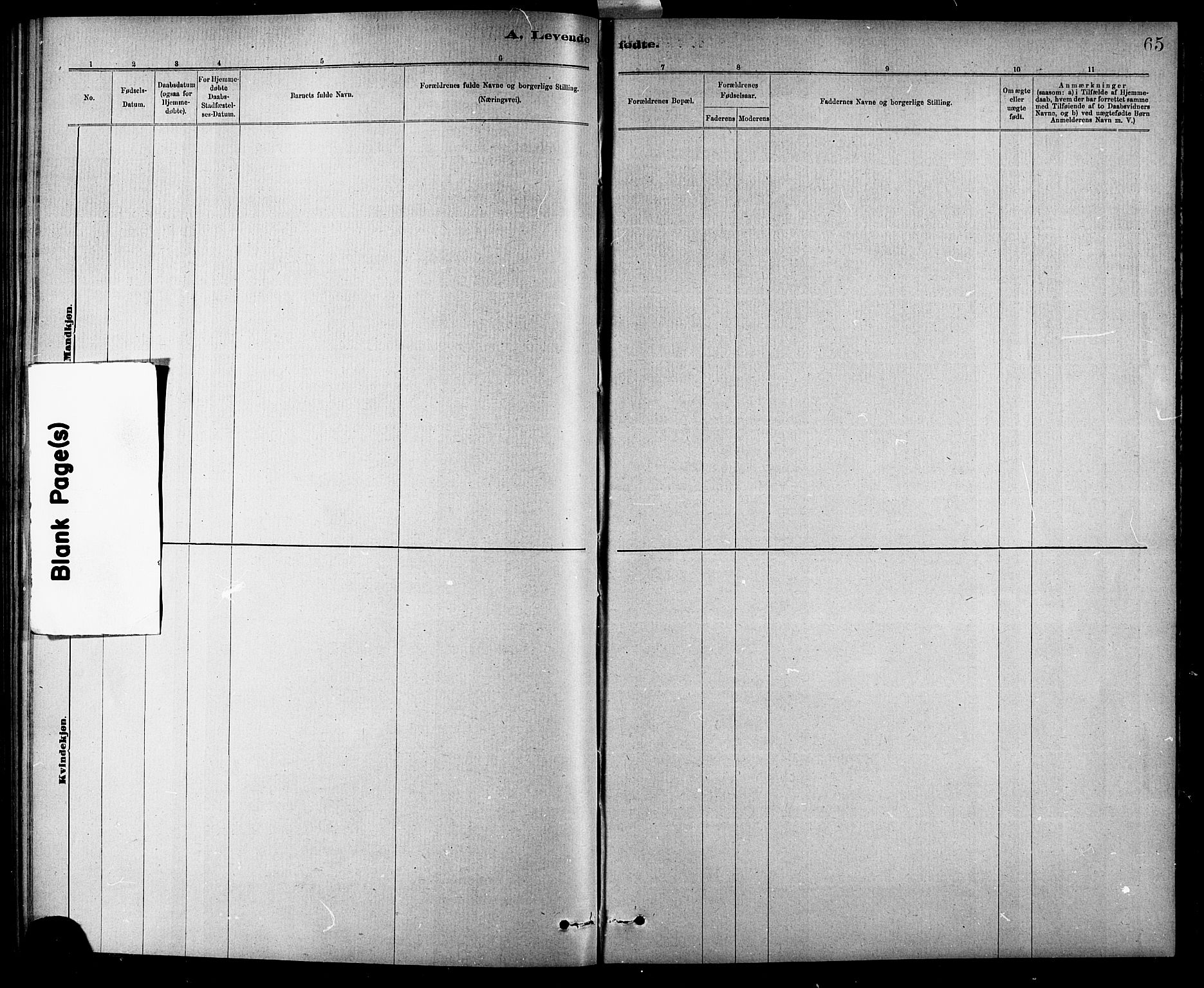 Ministerialprotokoller, klokkerbøker og fødselsregistre - Sør-Trøndelag, SAT/A-1456/618/L0452: Parish register (copy) no. 618C03, 1884-1906, p. 65
