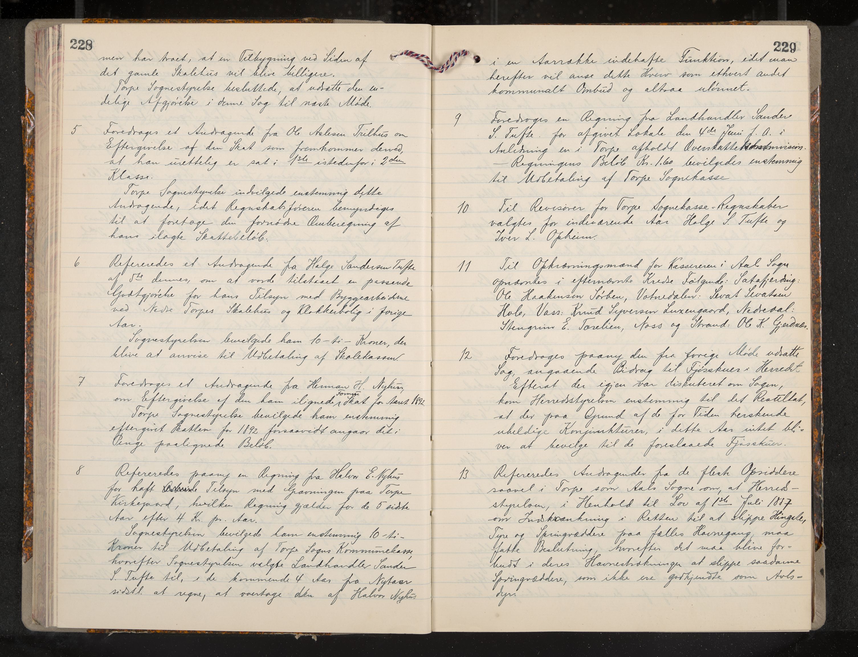 Ål formannskap og sentraladministrasjon, IKAK/0619021/A/Aa/L0004: Utskrift av møtebok, 1881-1901, p. 228-229