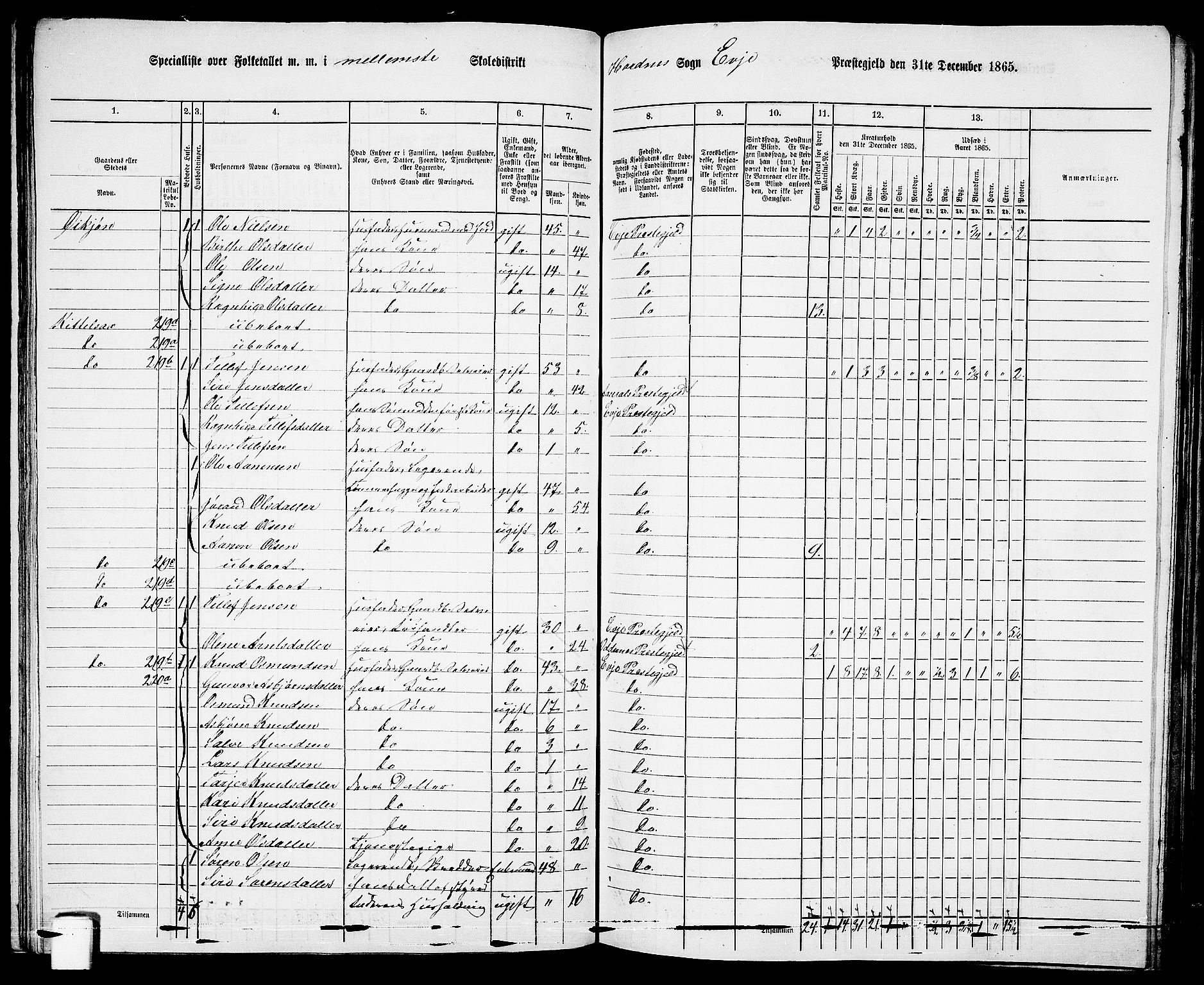 RA, 1865 census for Evje, 1865, p. 99