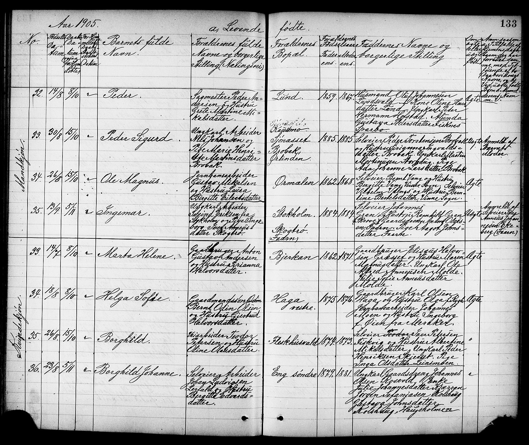 Ministerialprotokoller, klokkerbøker og fødselsregistre - Nord-Trøndelag, AV/SAT-A-1458/723/L0257: Parish register (copy) no. 723C05, 1890-1907, p. 133