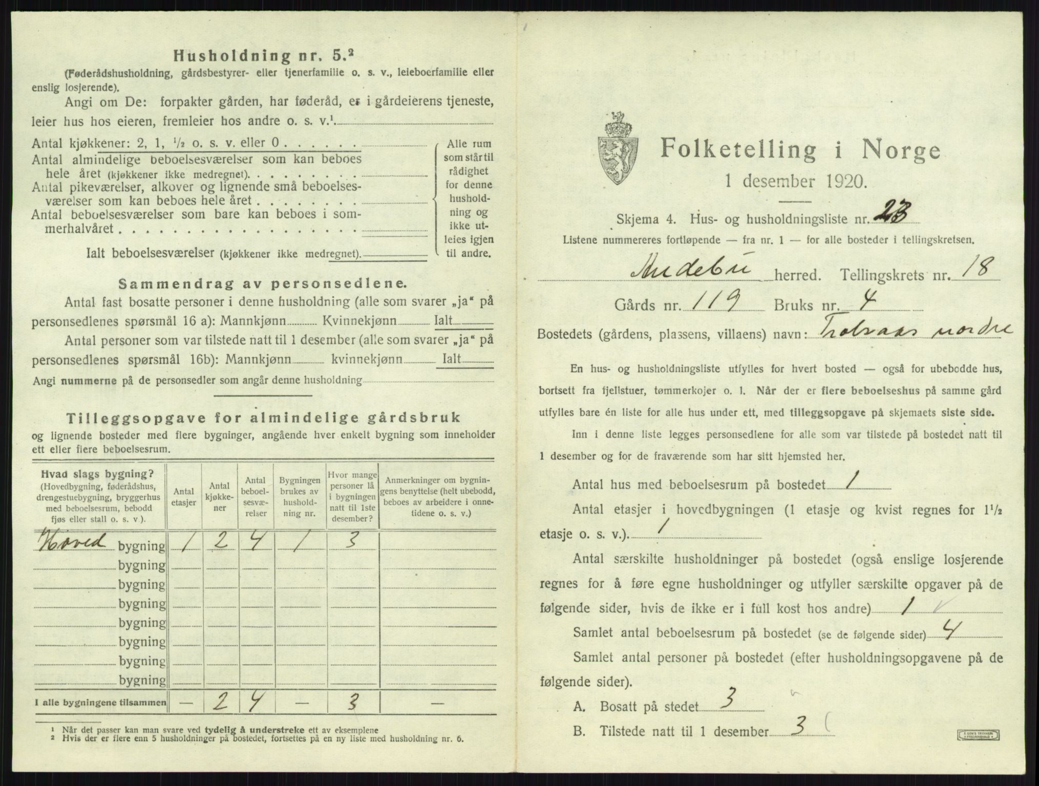 SAKO, 1920 census for Andebu, 1920, p. 1024