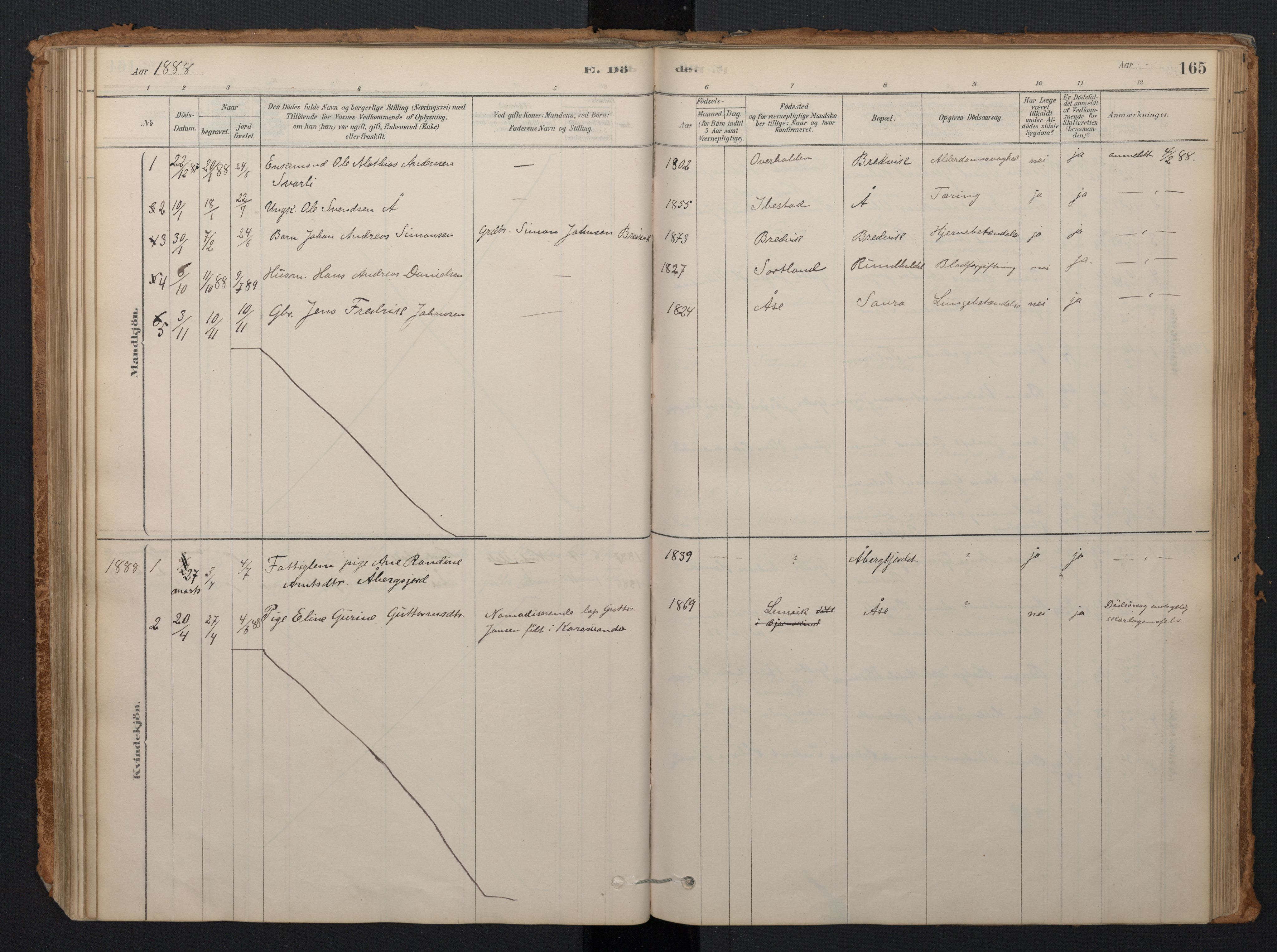 Ministerialprotokoller, klokkerbøker og fødselsregistre - Nordland, AV/SAT-A-1459/897/L1399: Parish register (official) no. 897A06, 1881-1896, p. 165