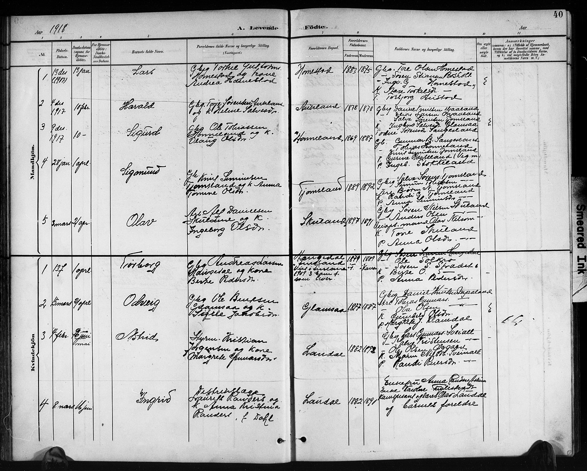 Holum sokneprestkontor, AV/SAK-1111-0022/F/Fb/Fbb/L0004: Parish register (copy) no. B 4, 1899-1920, p. 40