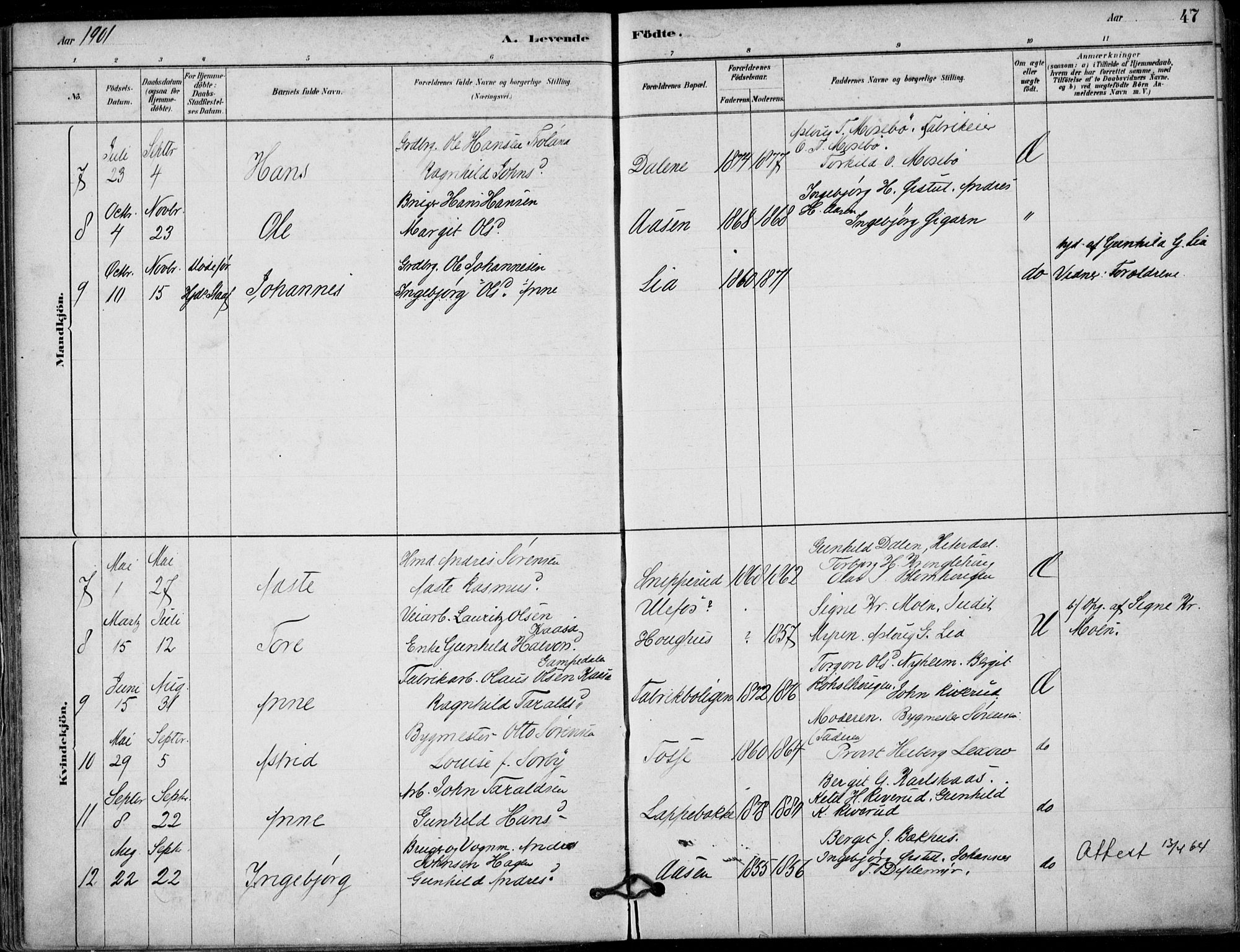 Hjartdal kirkebøker, AV/SAKO-A-270/F/Fb/L0002: Parish register (official) no. II 2, 1880-1932, p. 47