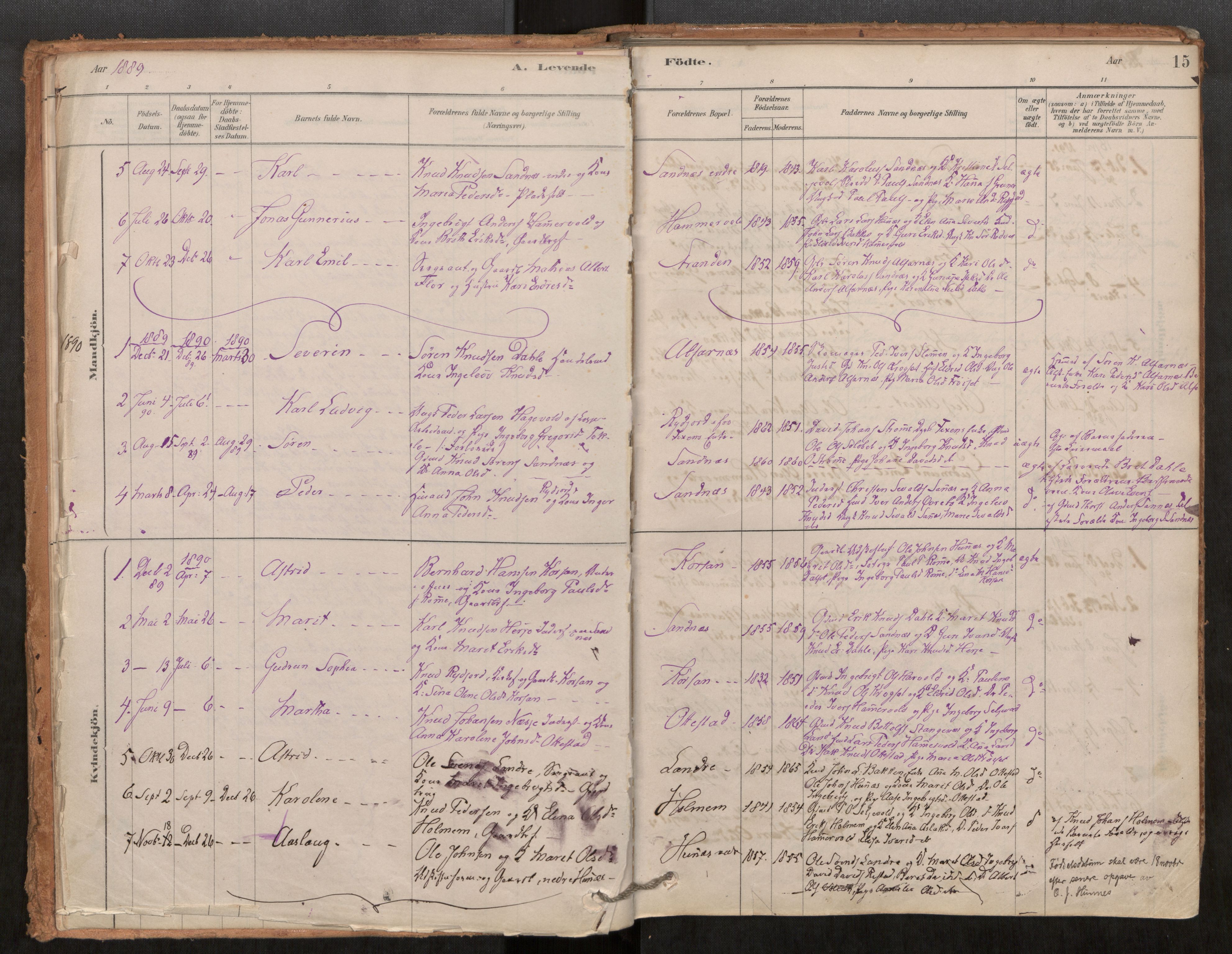 Ministerialprotokoller, klokkerbøker og fødselsregistre - Møre og Romsdal, SAT/A-1454/548/L0615: Parish register (official) no. 548A02, 1878-1906, p. 15