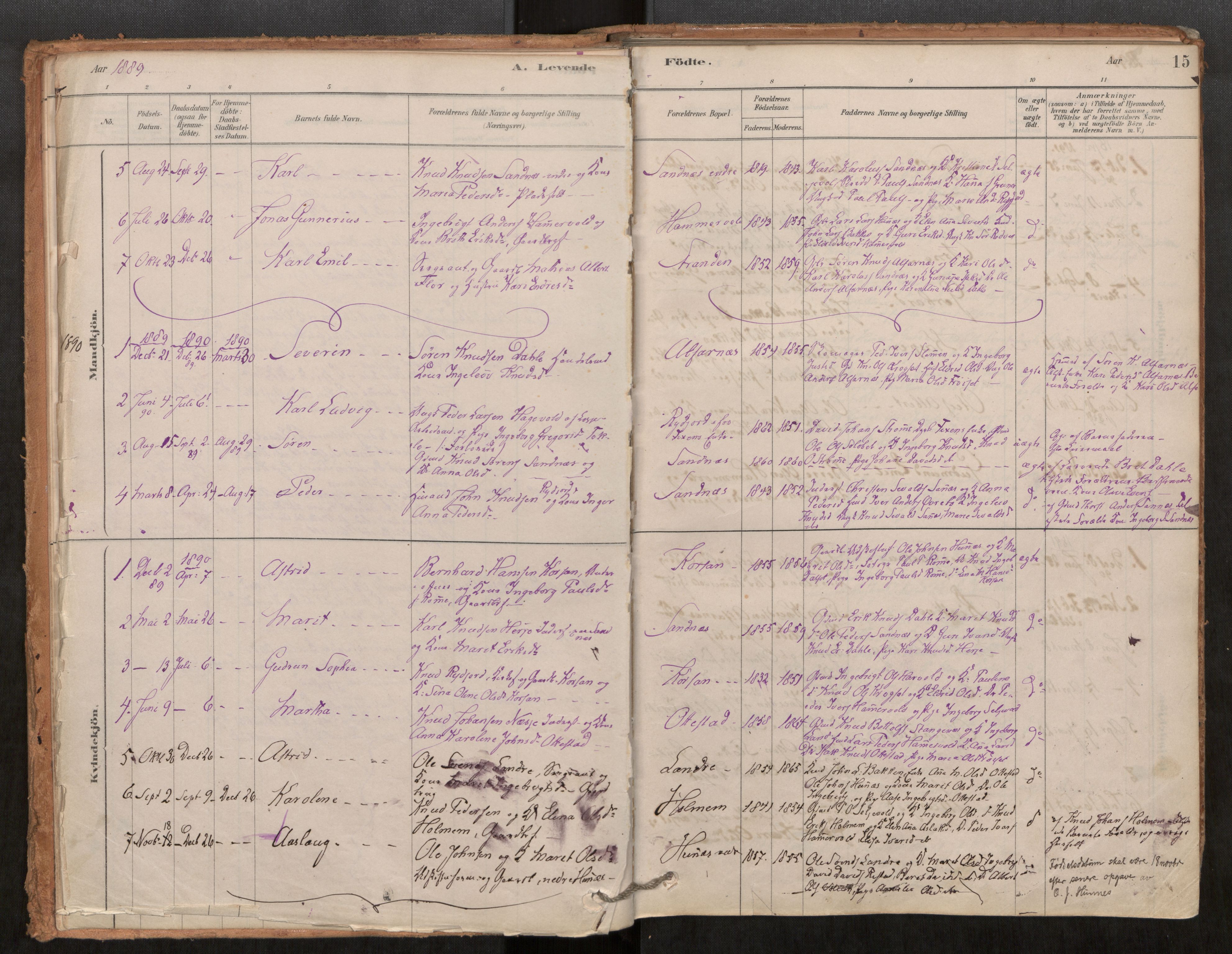 Ministerialprotokoller, klokkerbøker og fødselsregistre - Møre og Romsdal, AV/SAT-A-1454/548/L0615: Parish register (official) no. 548A02, 1878-1906, p. 15