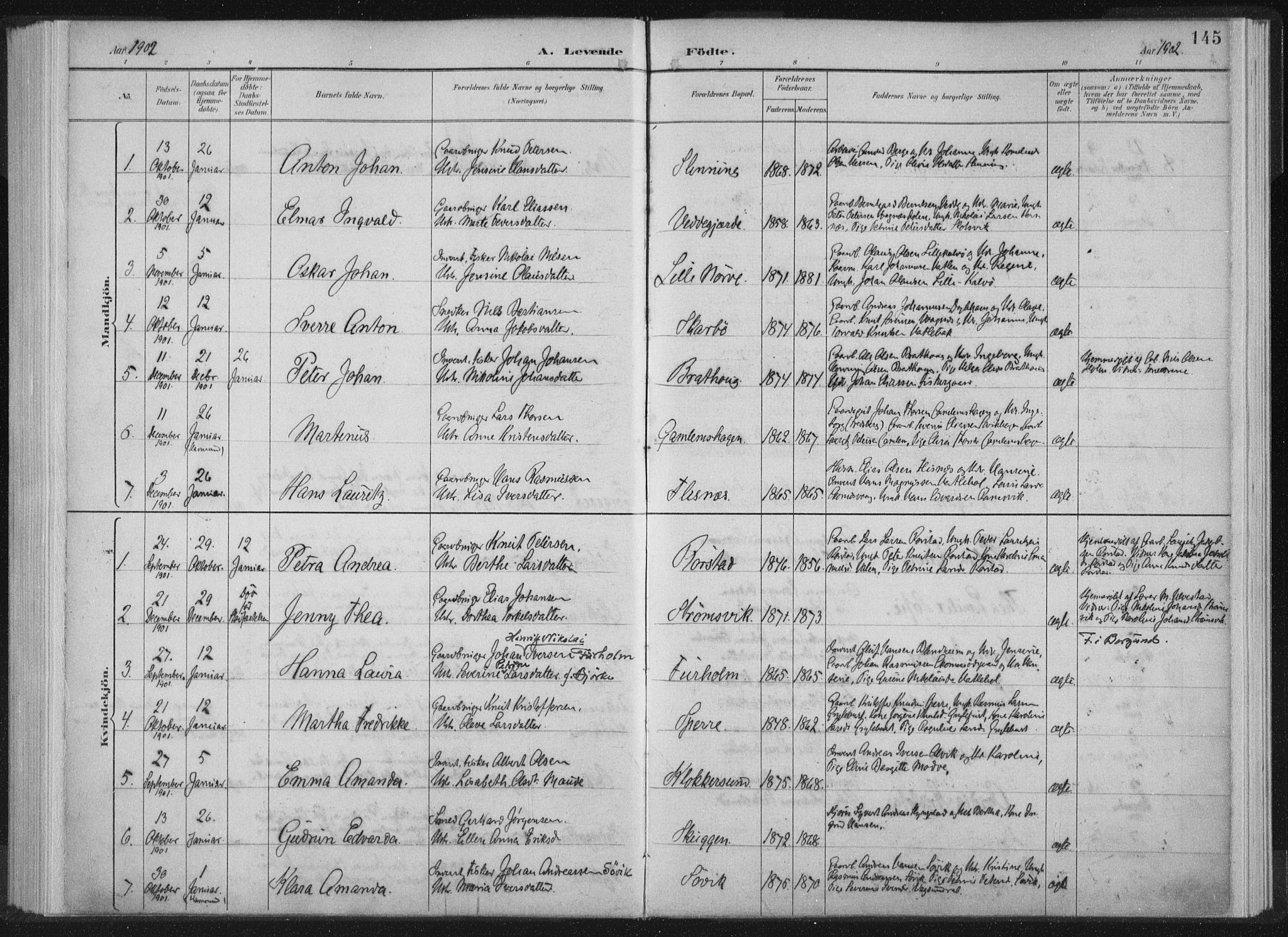 Ministerialprotokoller, klokkerbøker og fødselsregistre - Møre og Romsdal, AV/SAT-A-1454/528/L0405: Parish register (official) no. 528A14, 1891-1906, p. 145