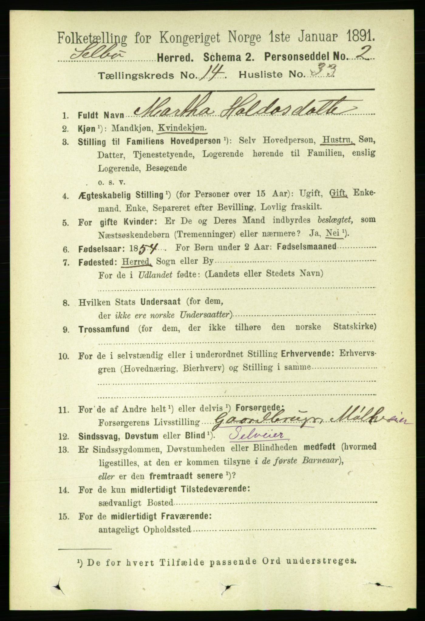 RA, 1891 census for 1664 Selbu, 1891, p. 5293