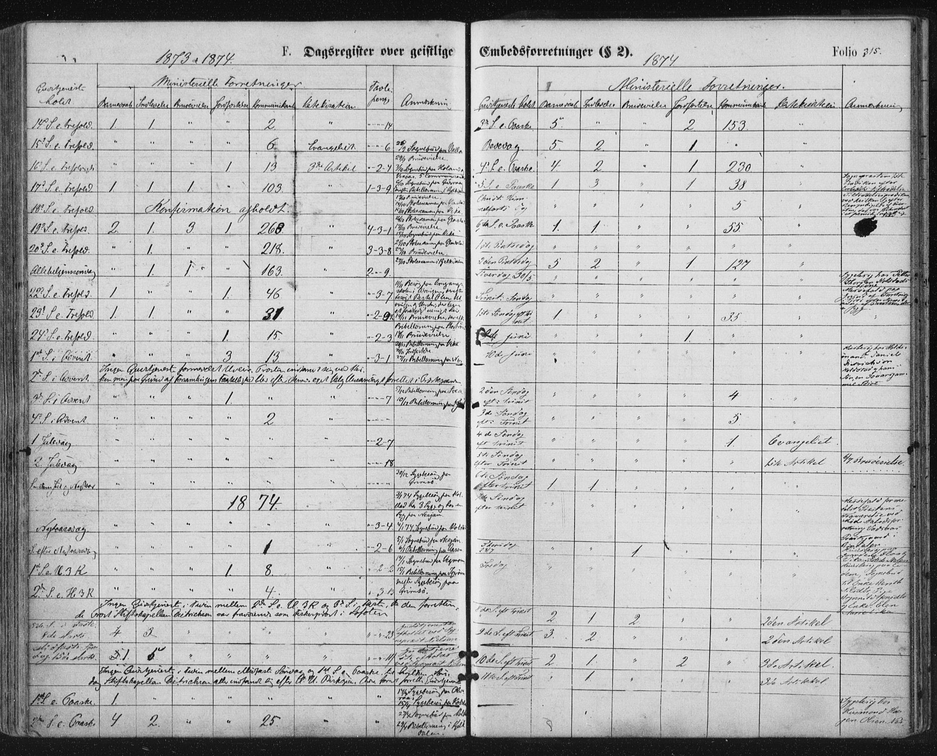 Ministerialprotokoller, klokkerbøker og fødselsregistre - Nordland, SAT/A-1459/816/L0241: Parish register (official) no. 816A07, 1870-1885, p. 315