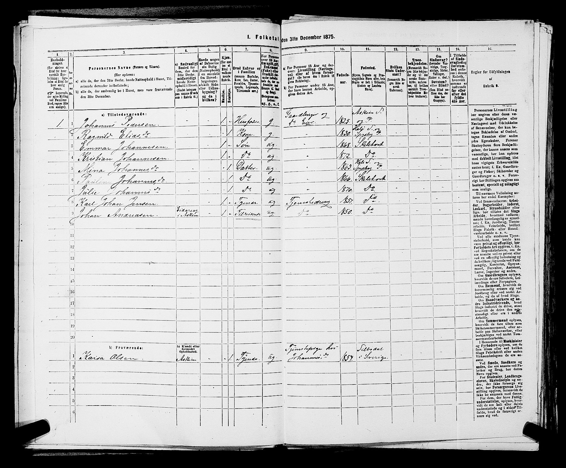 RA, 1875 census for 0127P Skiptvet, 1875, p. 499