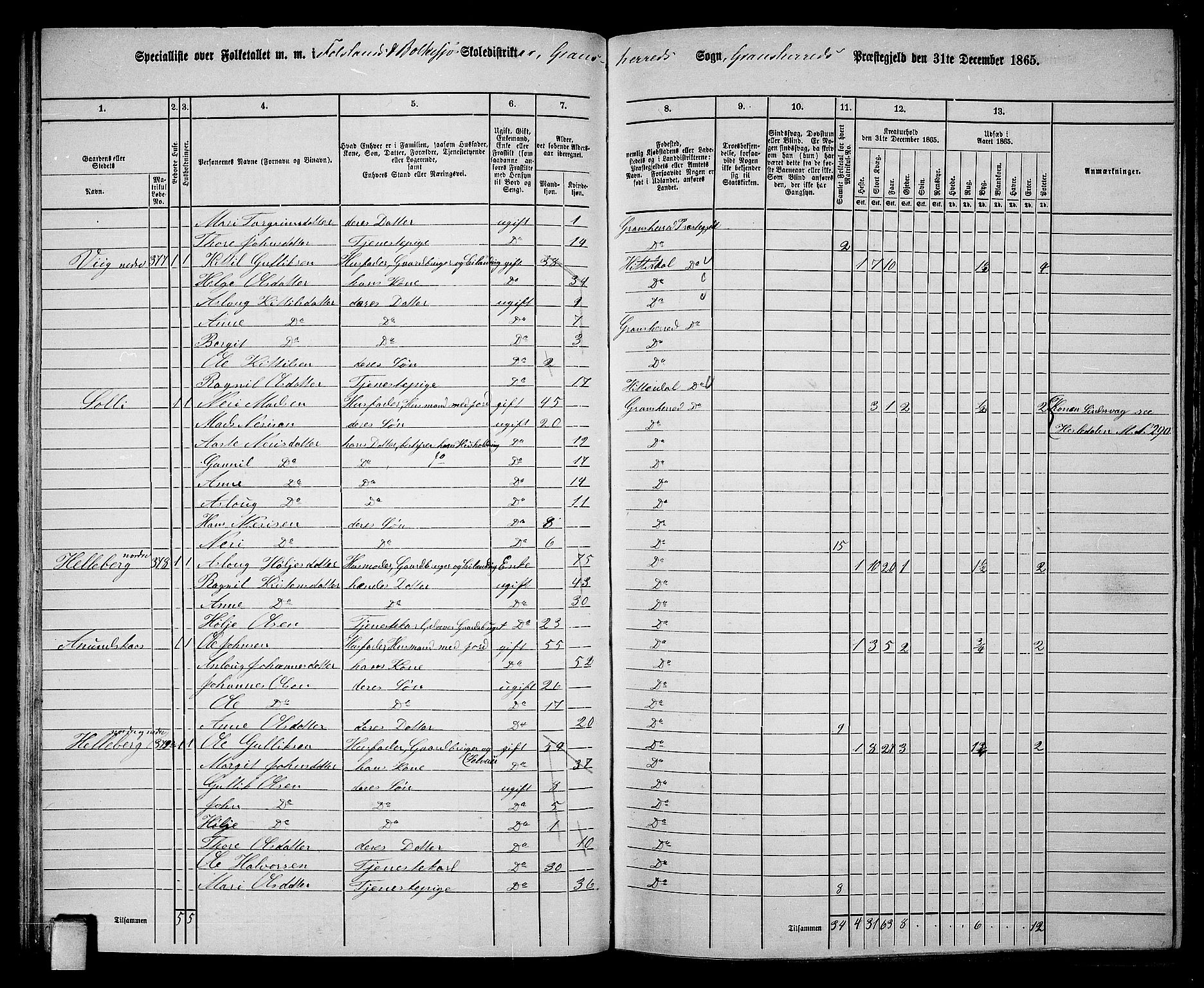 RA, 1865 census for Gransherad, 1865, p. 51