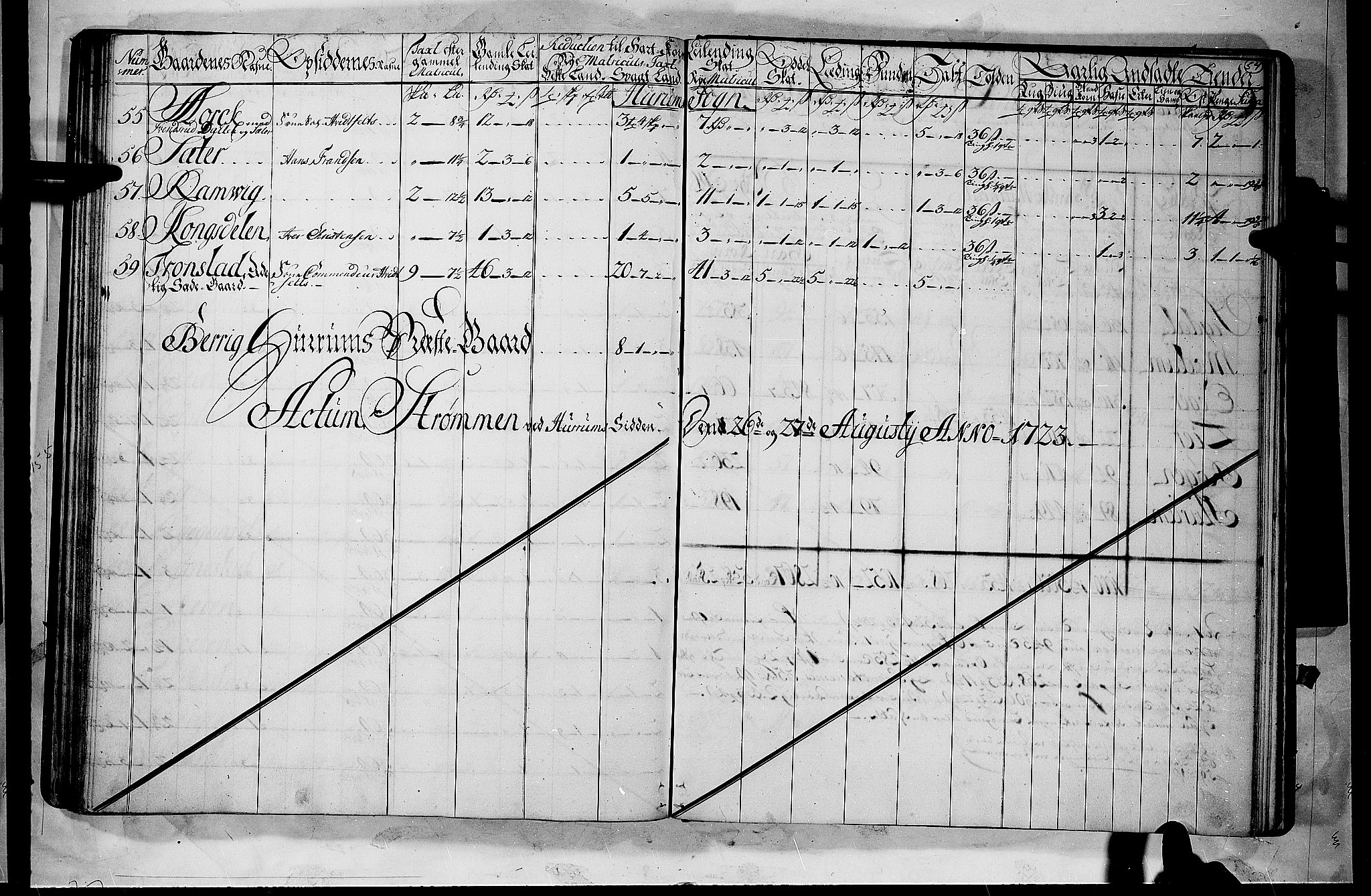 Rentekammeret inntil 1814, Realistisk ordnet avdeling, AV/RA-EA-4070/N/Nb/Nbf/L0112: Buskerud matrikkelprotokoll, 1723, p. 53b-54a