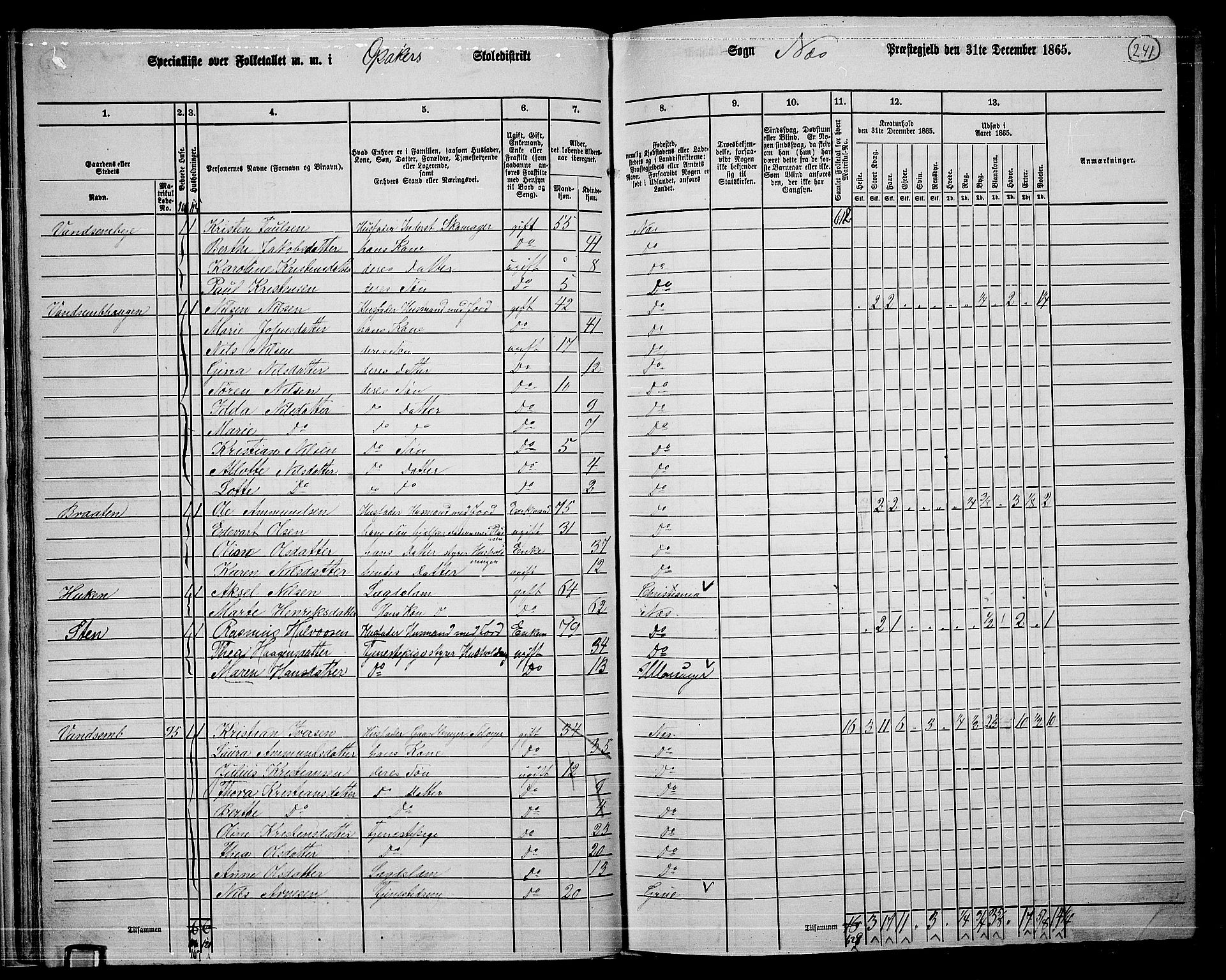 RA, 1865 census for Nes, 1865, p. 224