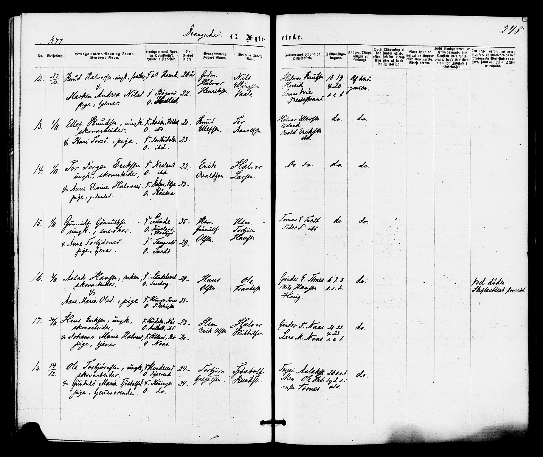 Drangedal kirkebøker, AV/SAKO-A-258/F/Fa/L0009: Parish register (official) no. 9 /1, 1872-1884, p. 248