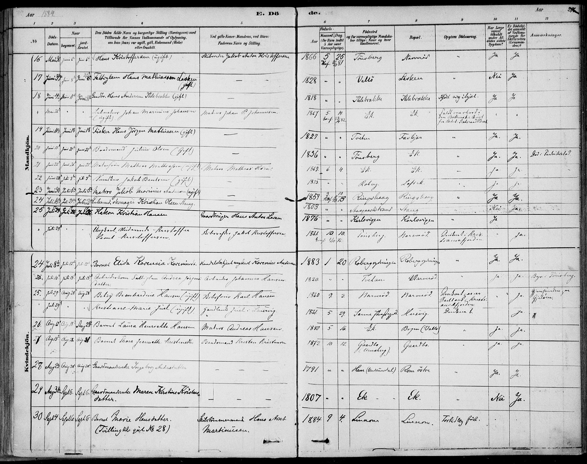 Sem kirkebøker, AV/SAKO-A-5/F/Fb/L0004: Parish register (official) no. II 4, 1878-1891, p. 296