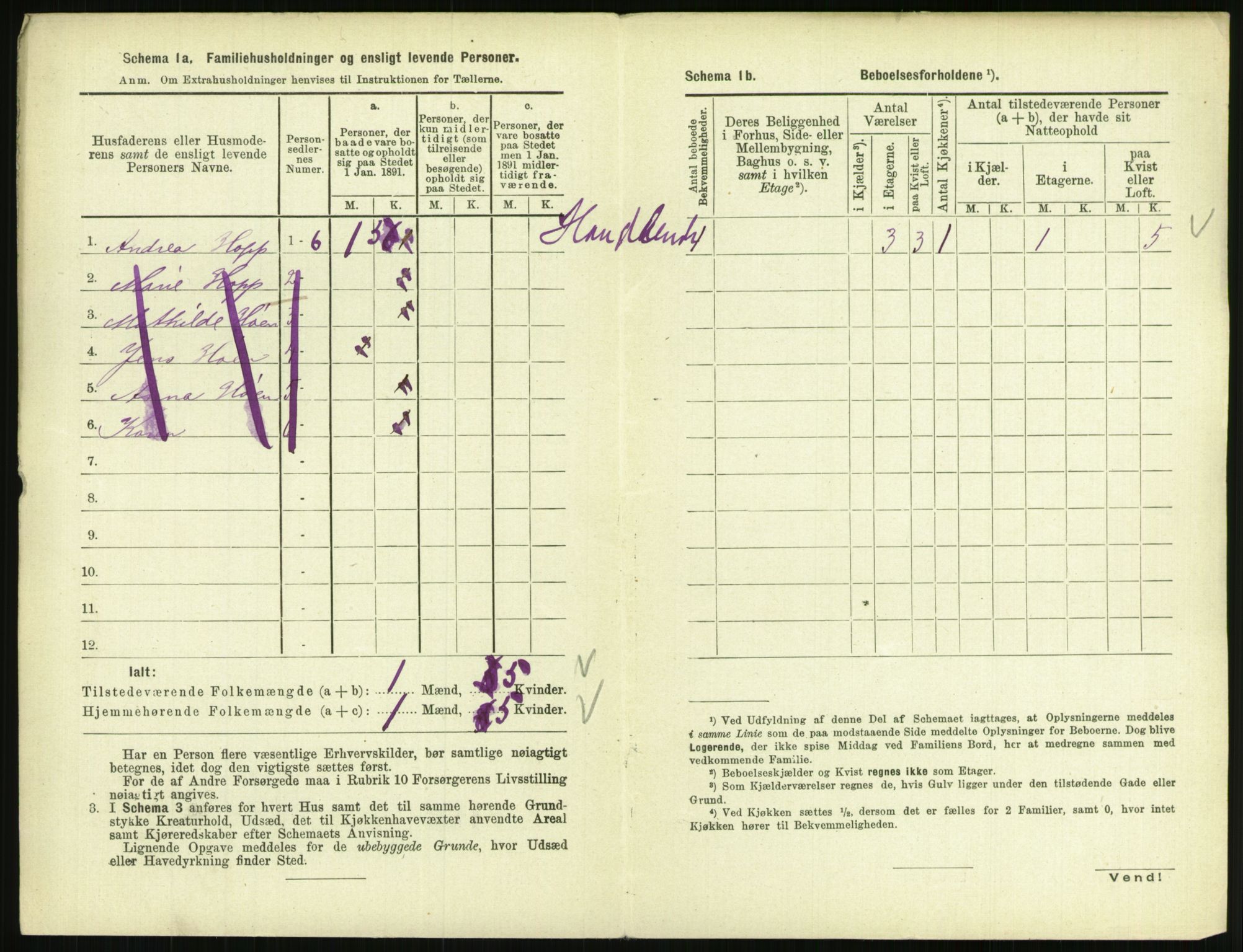 RA, 1891 census for 0801 Kragerø, 1891, p. 699